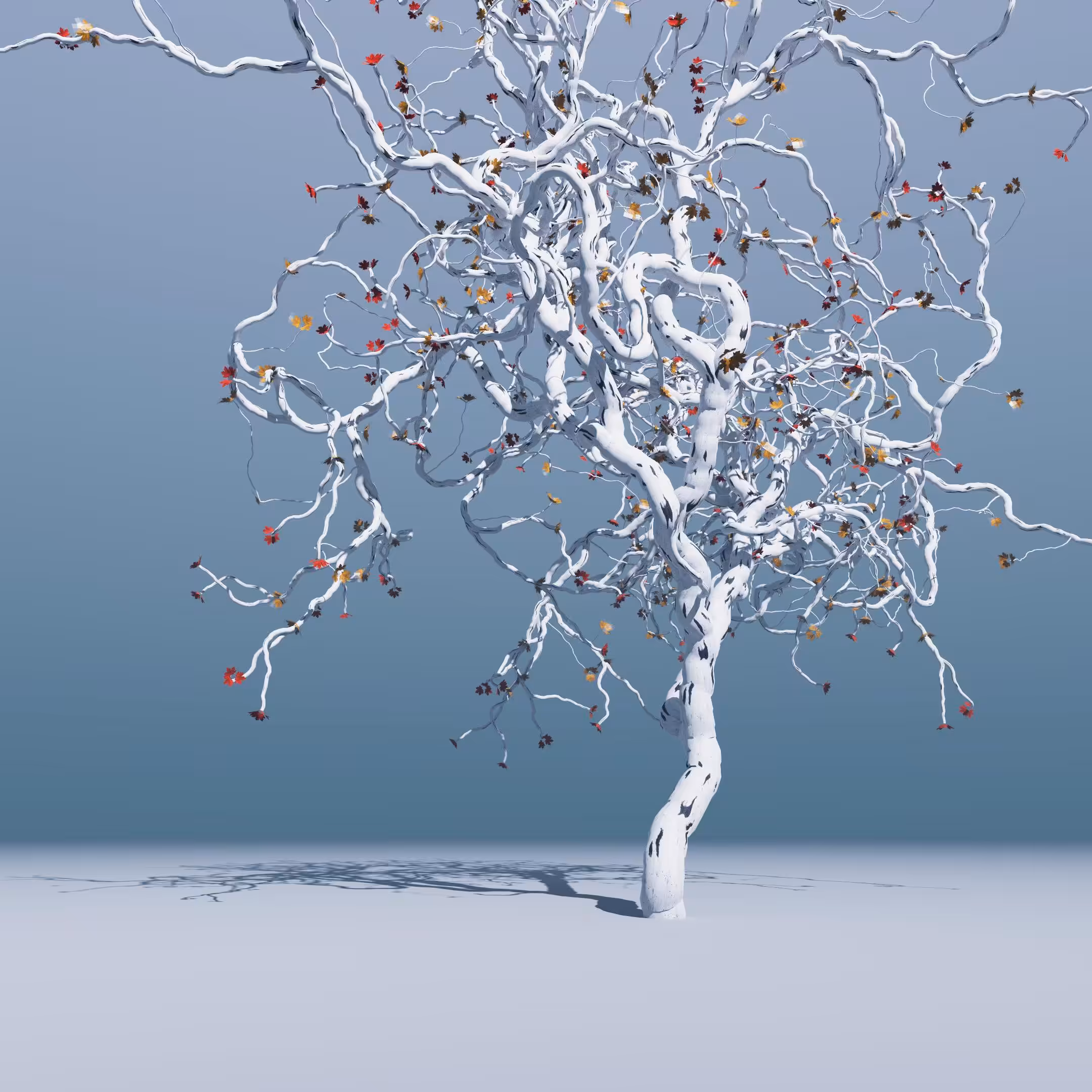 Winter Omen 01