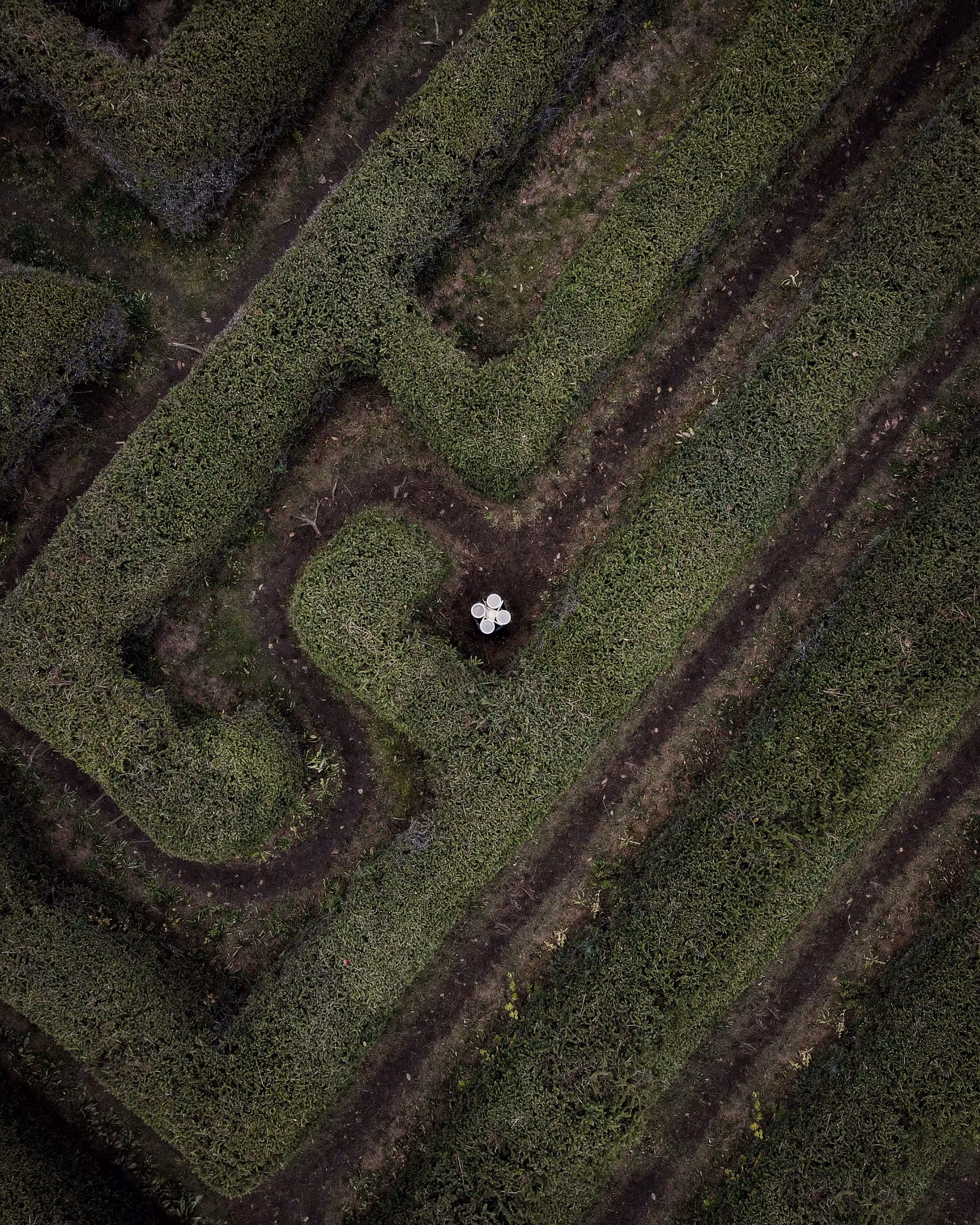 Maze Hacker #20