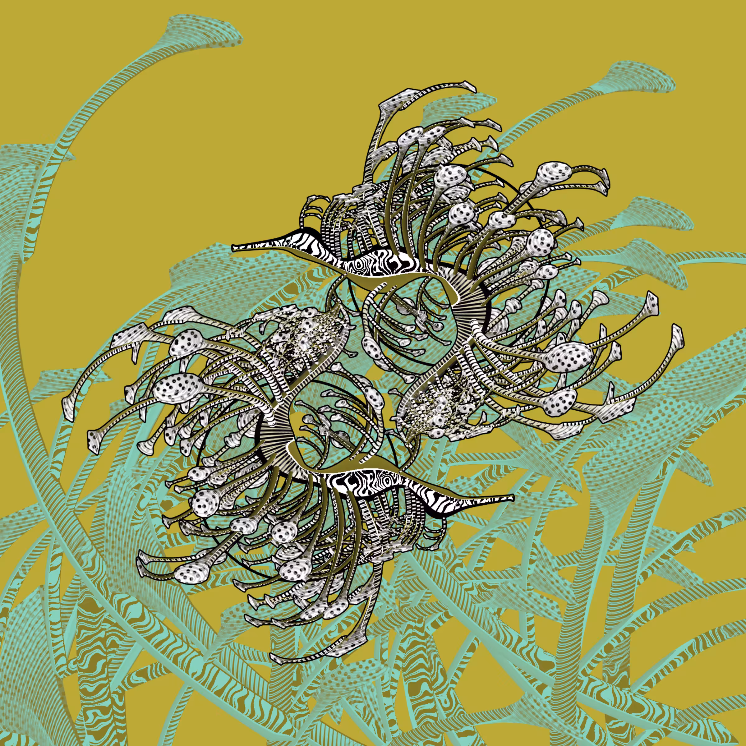 Seadragons #231