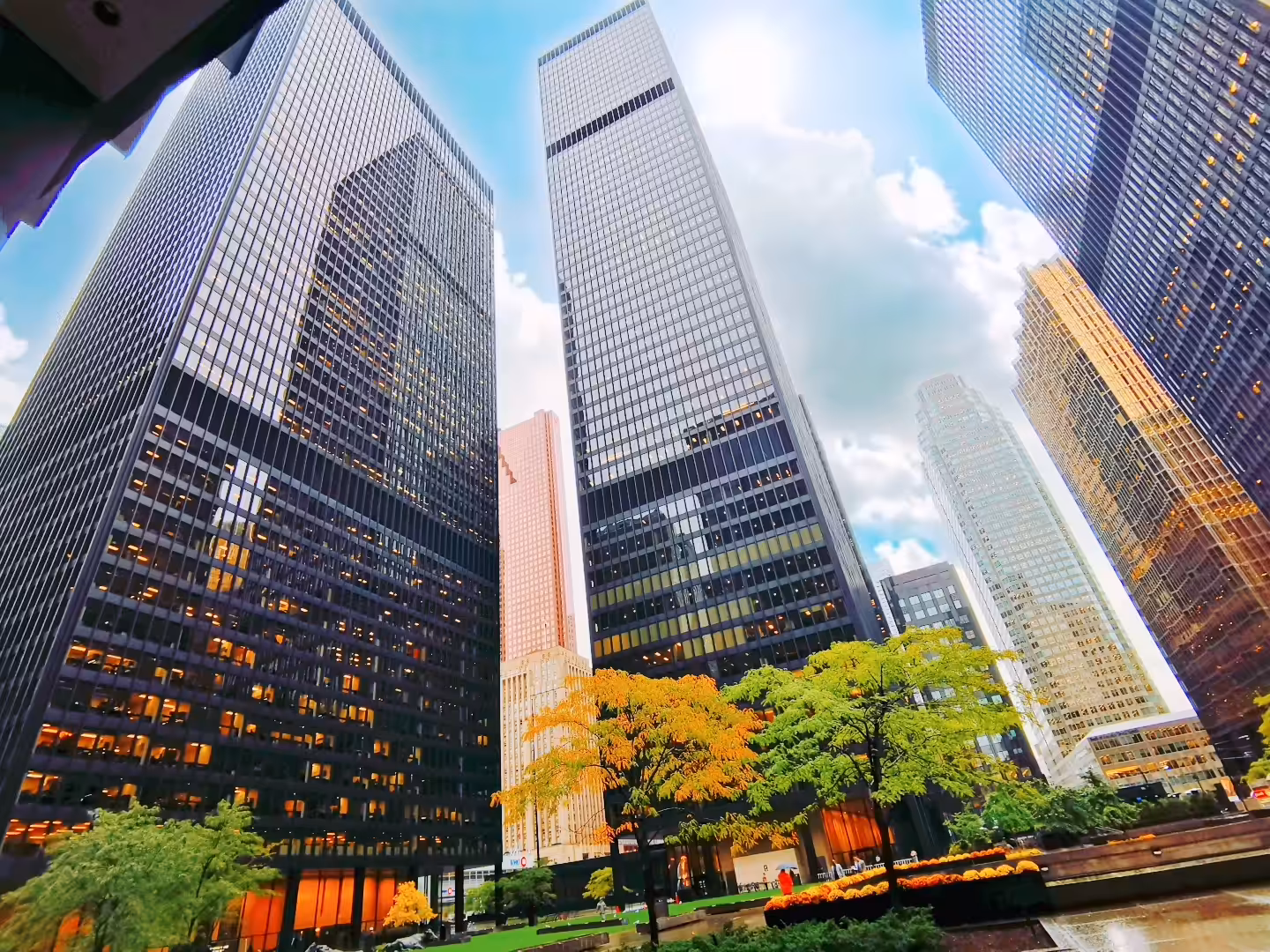 CONCRETE JUNGLE 