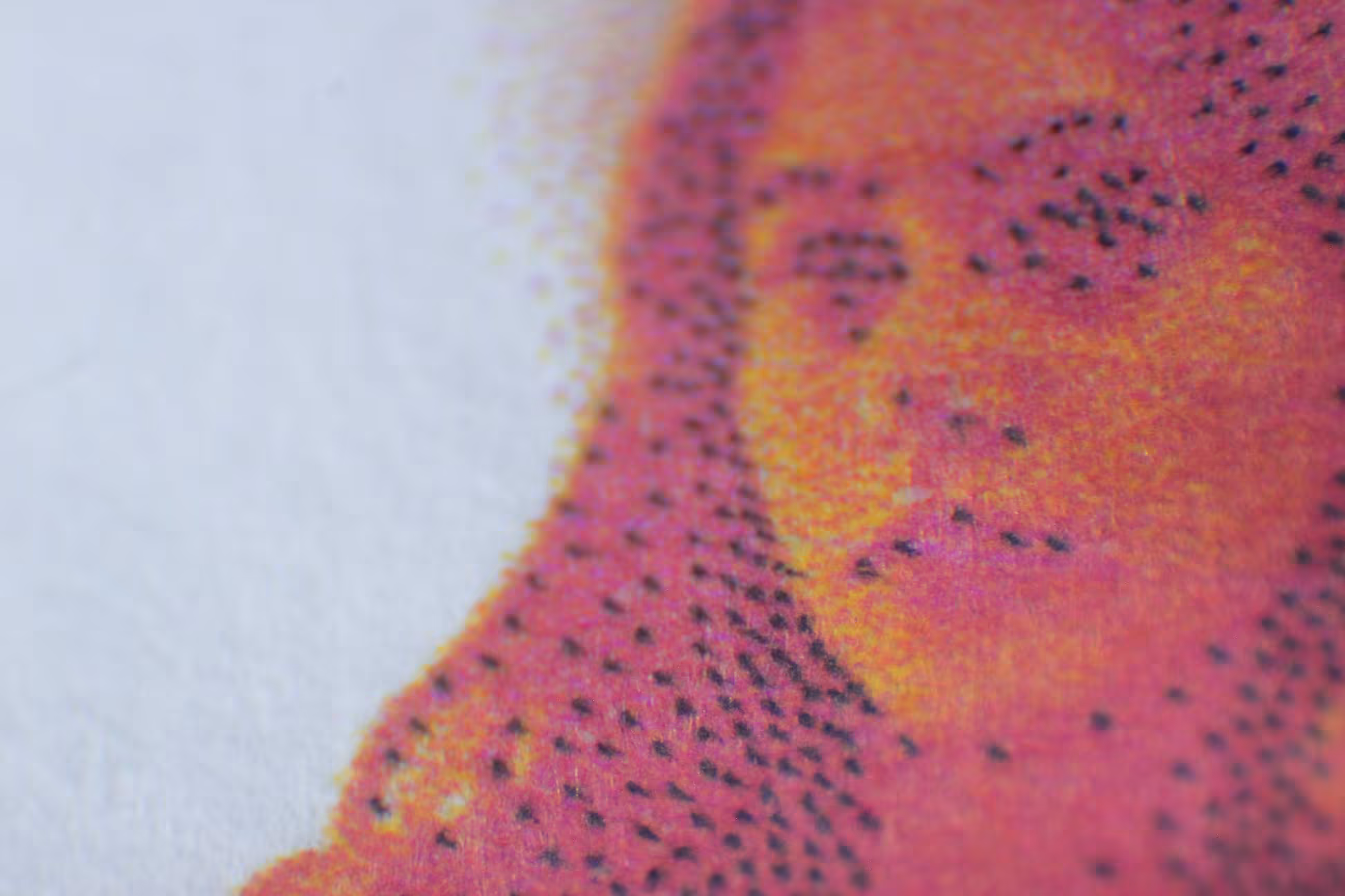 macro2