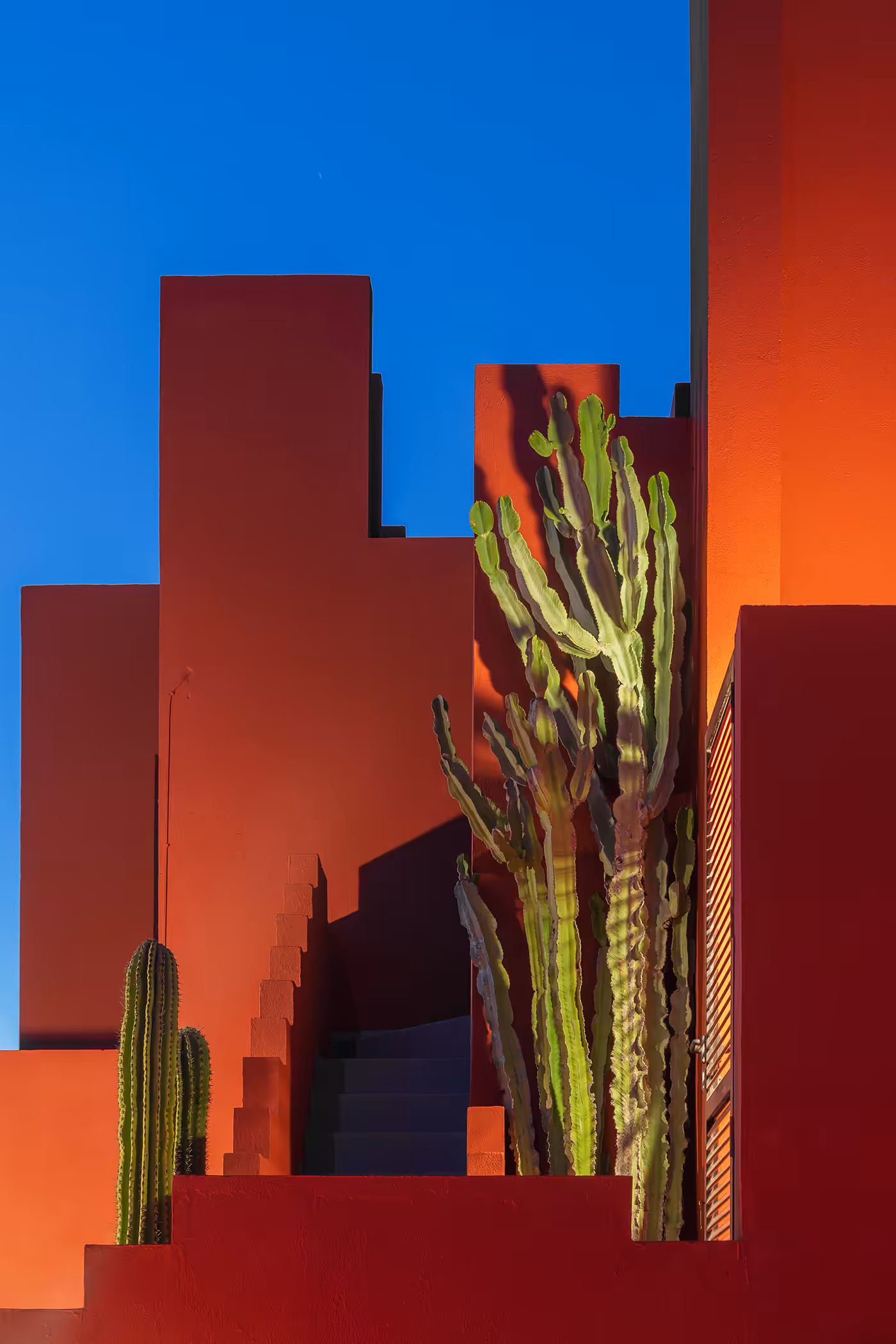 Muralla Roja #63
