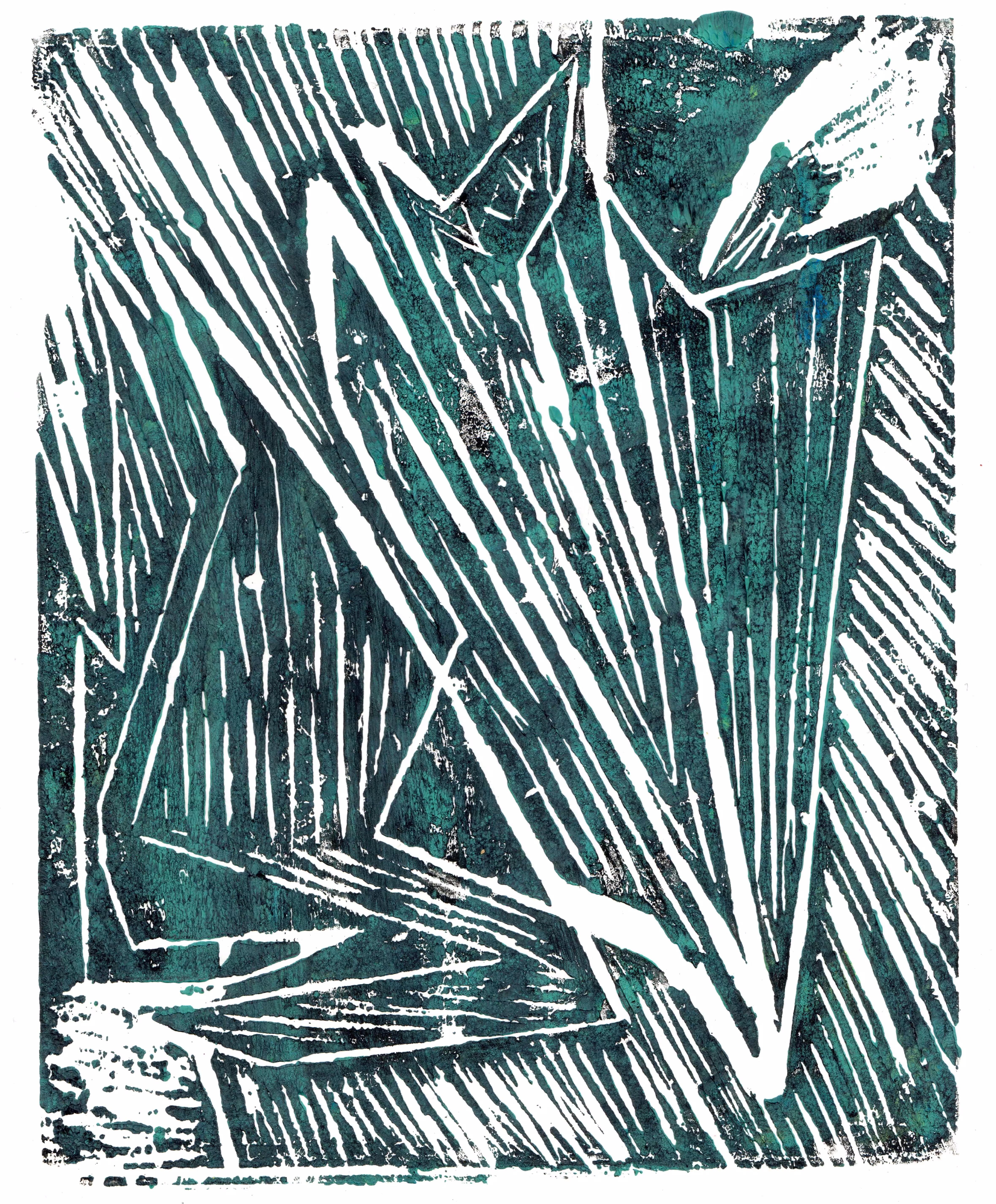 prints: a print