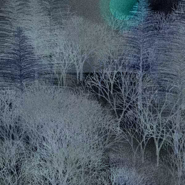 Moonlit Native Bush #69