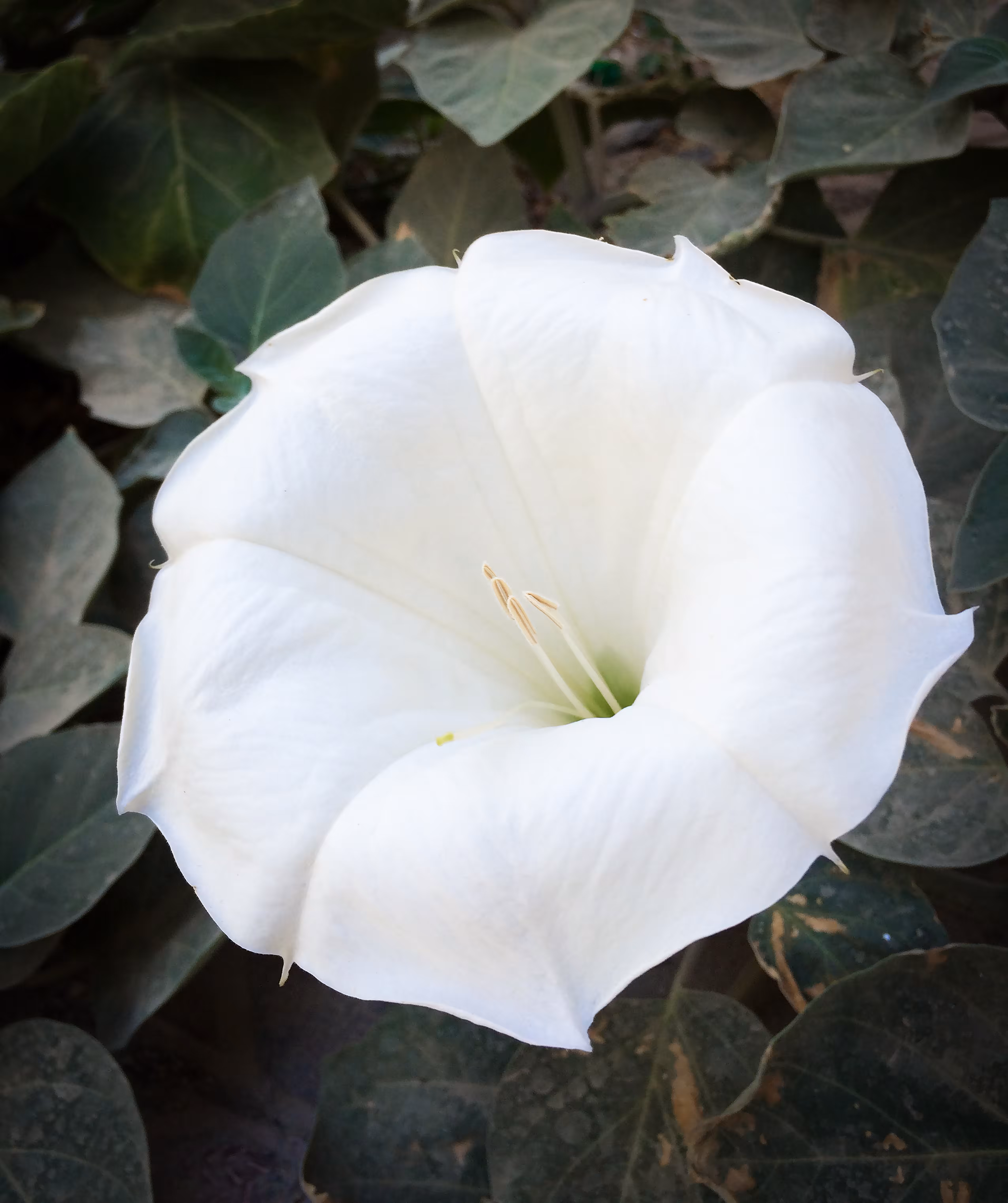 Merrylands.Photography: Merry-Photo 16