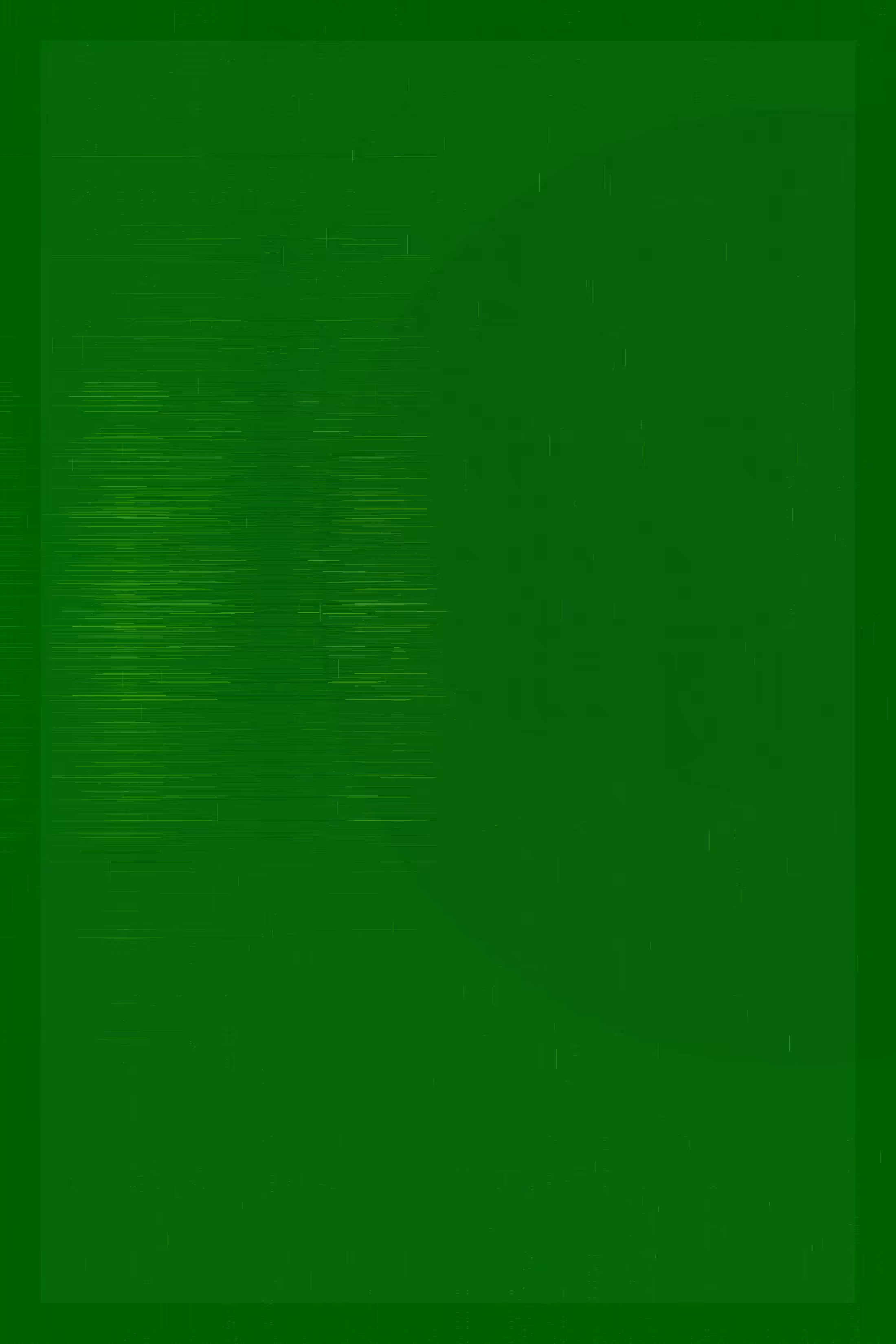 Apertum #141