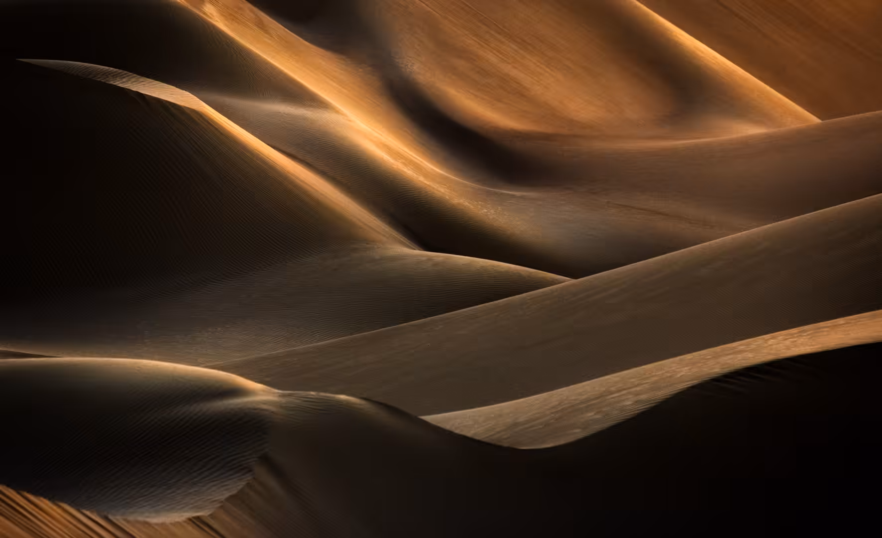 Clamorous Desert