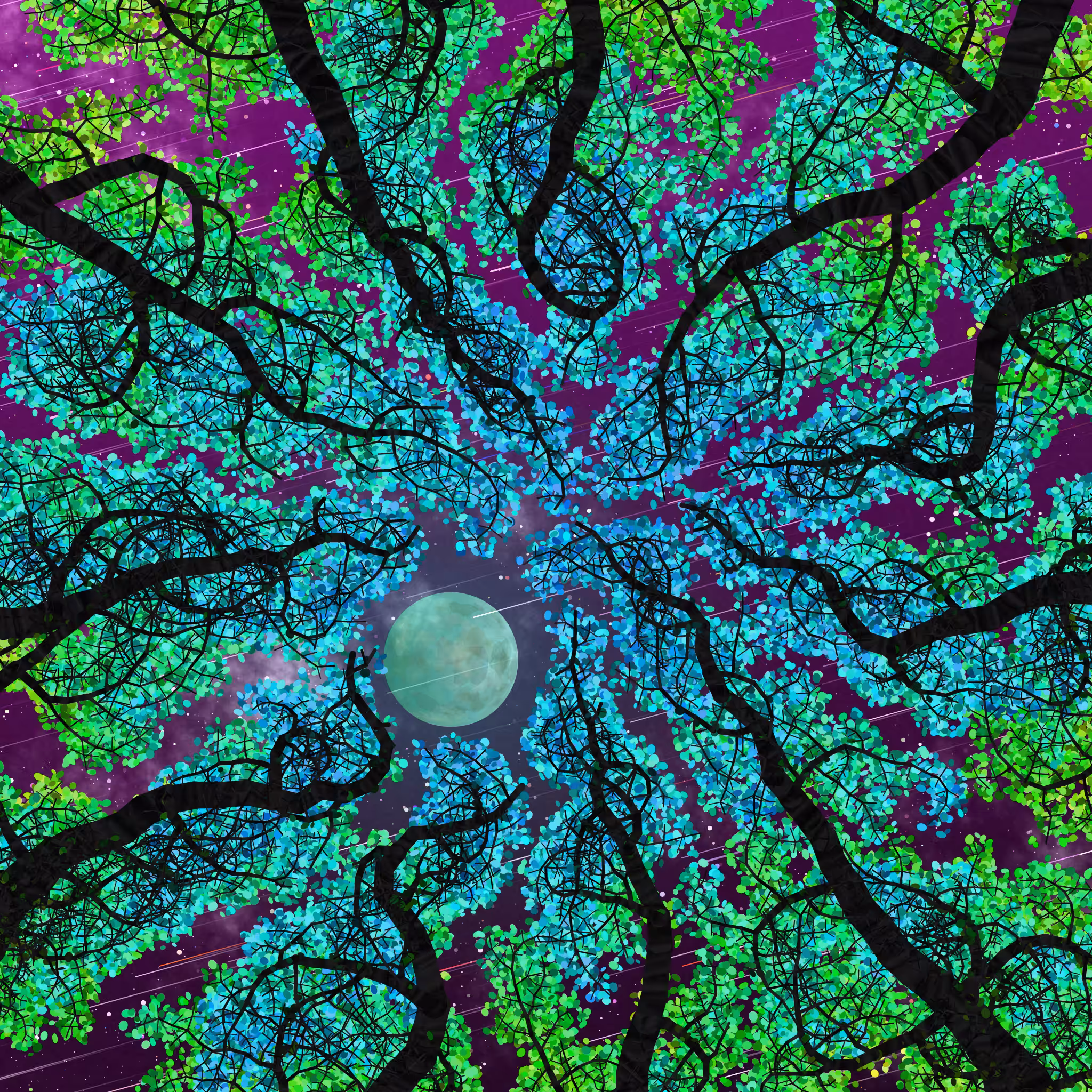 Tree Skyness #231