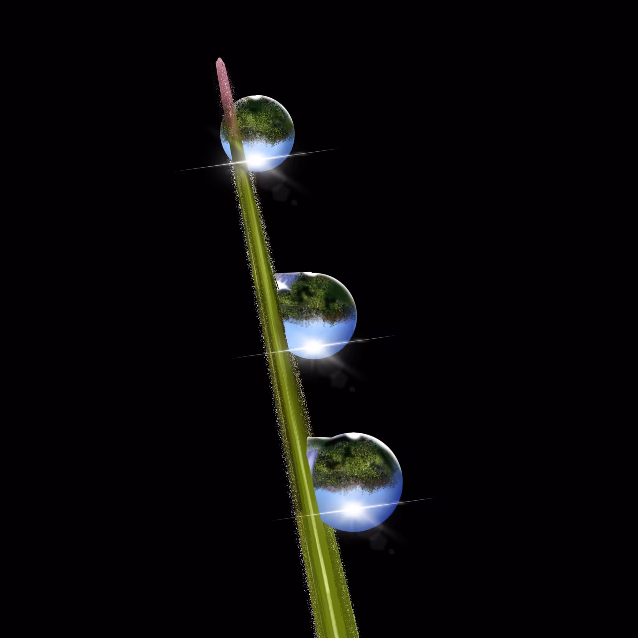 Water
