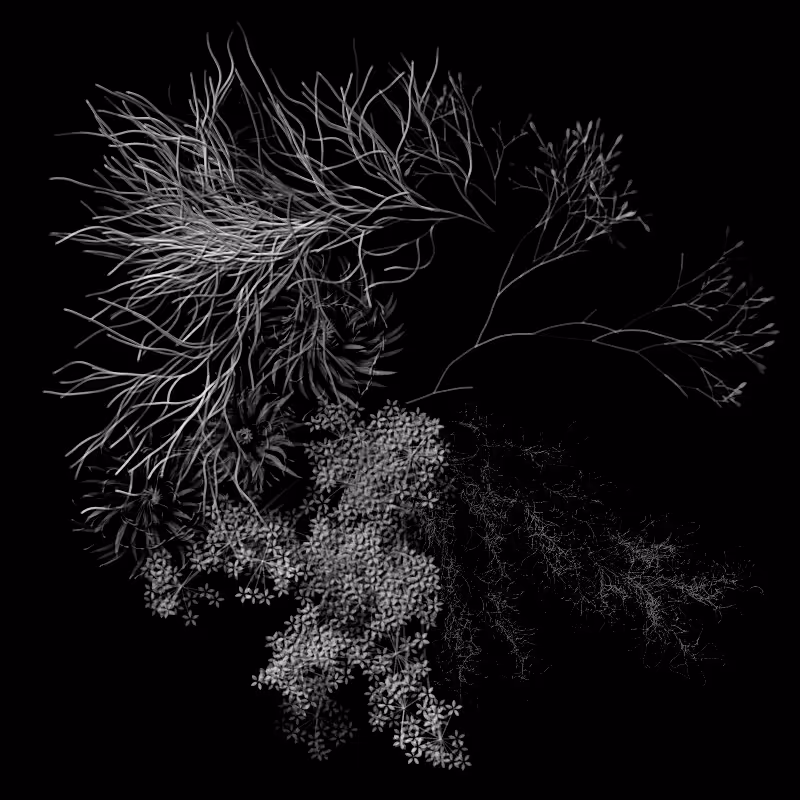 Botanical Ghosts #289