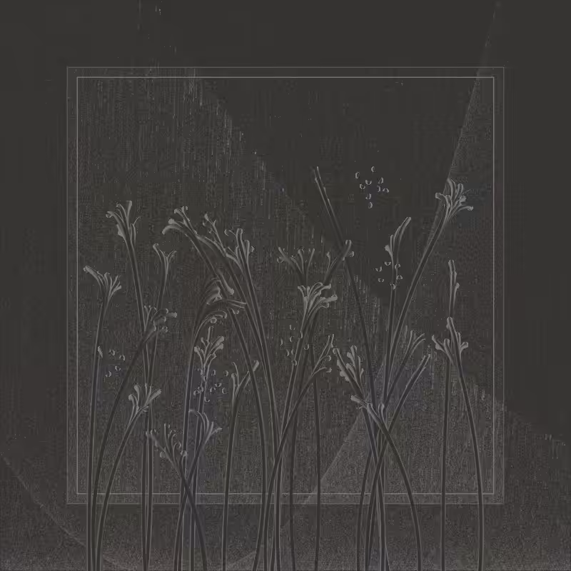string_pllu #89
