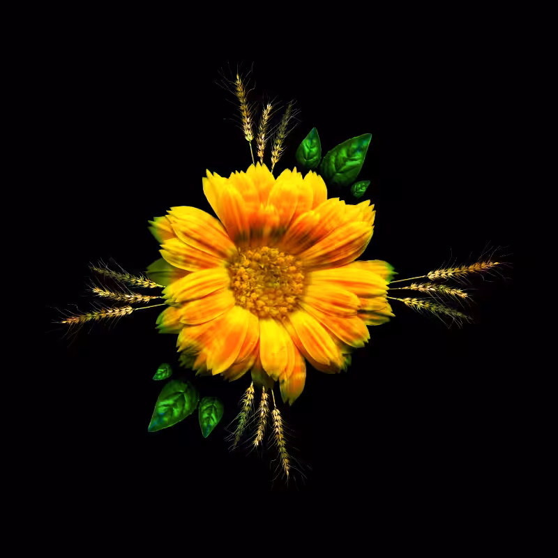 VIRGO -the star-