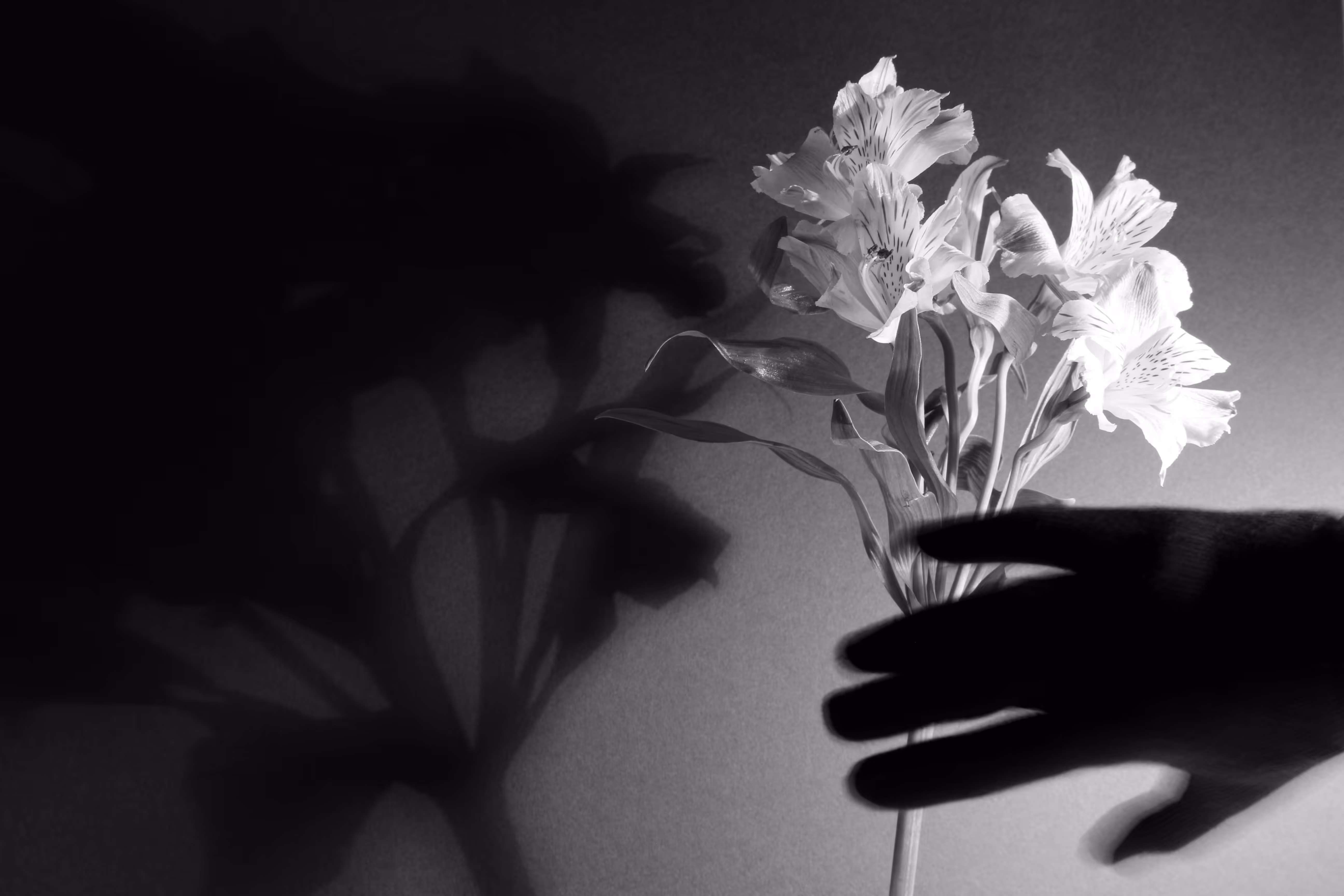 Flowers and Rhyms #1