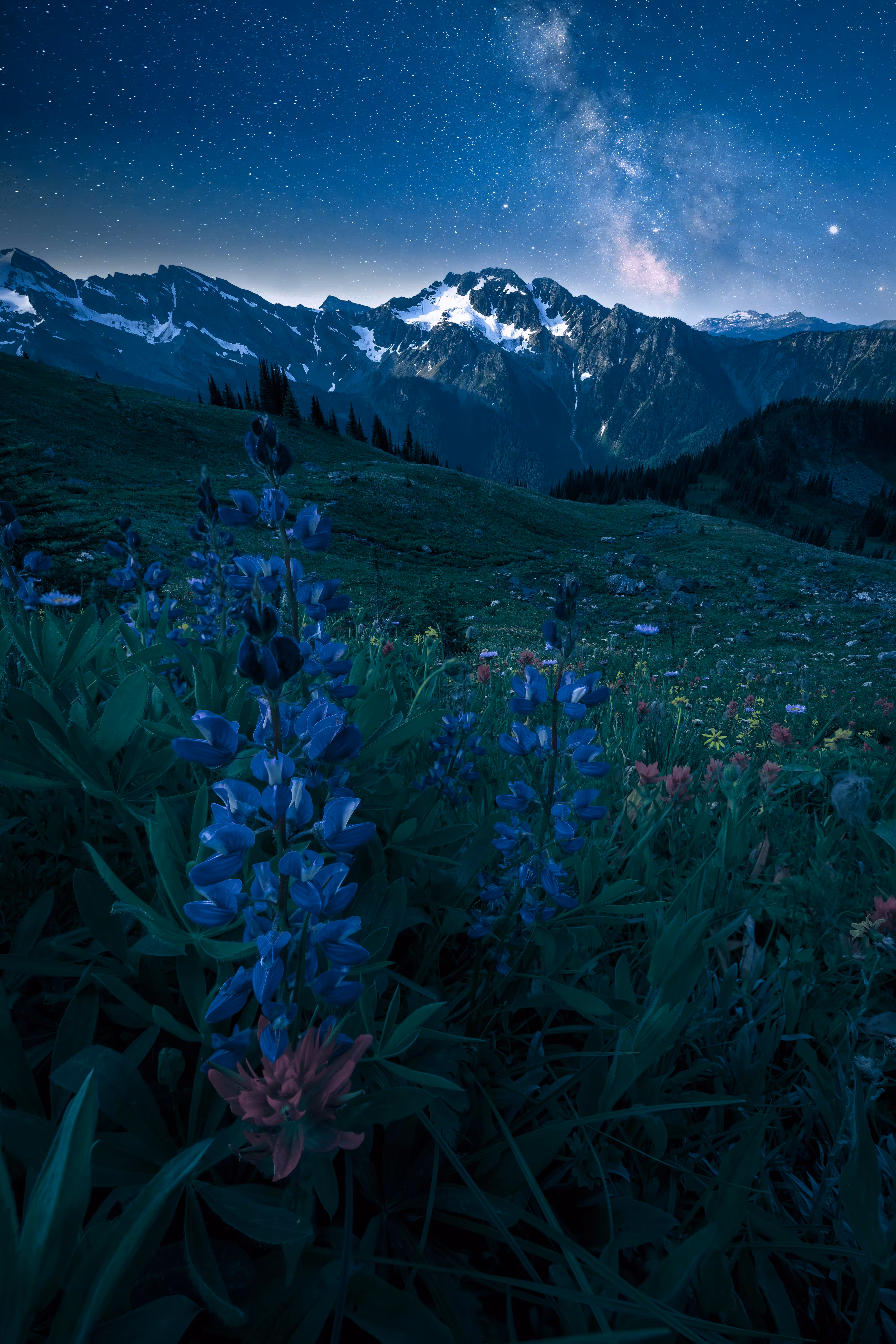 Alpine Galaxies