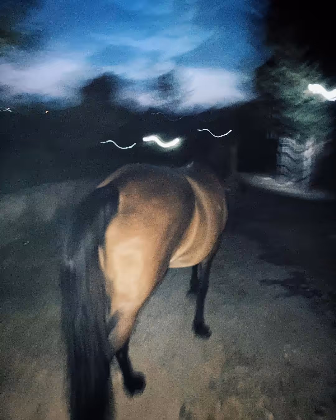 A Horse With No Name