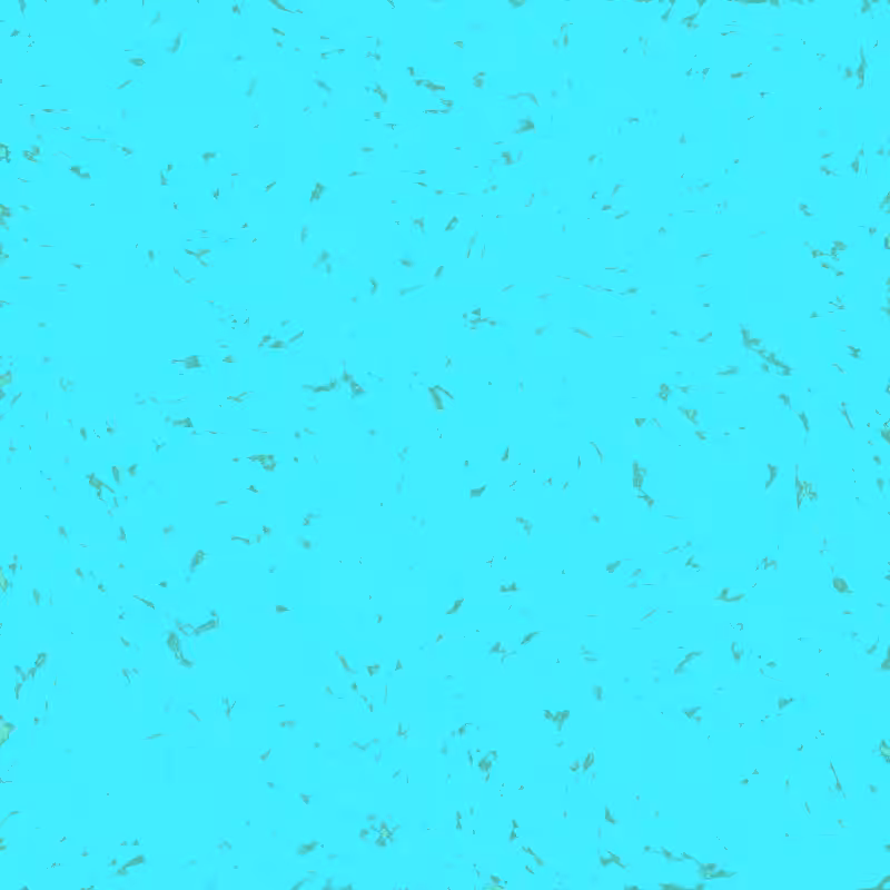 Particulate Hash 3 #61