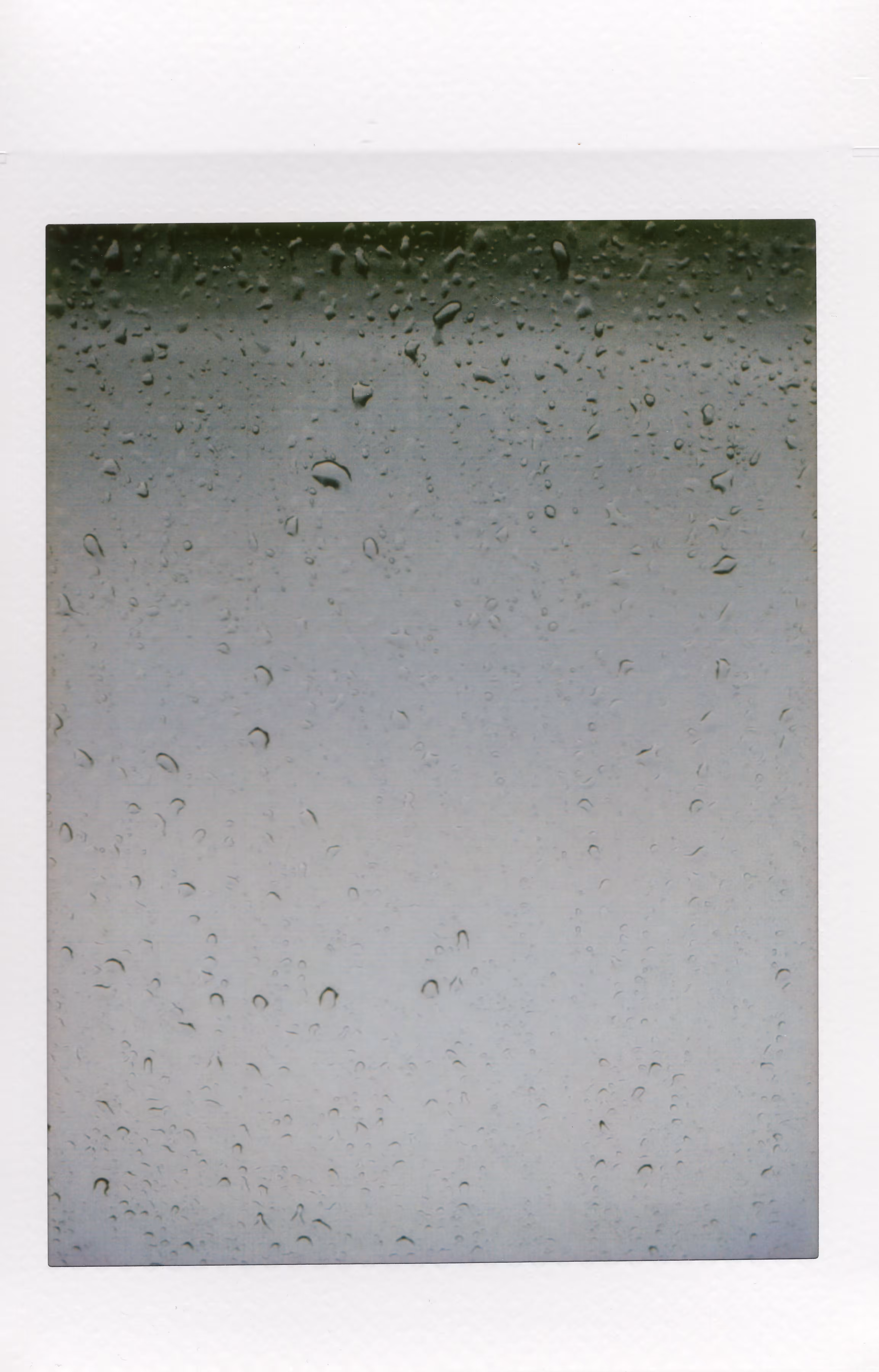 Window Pain