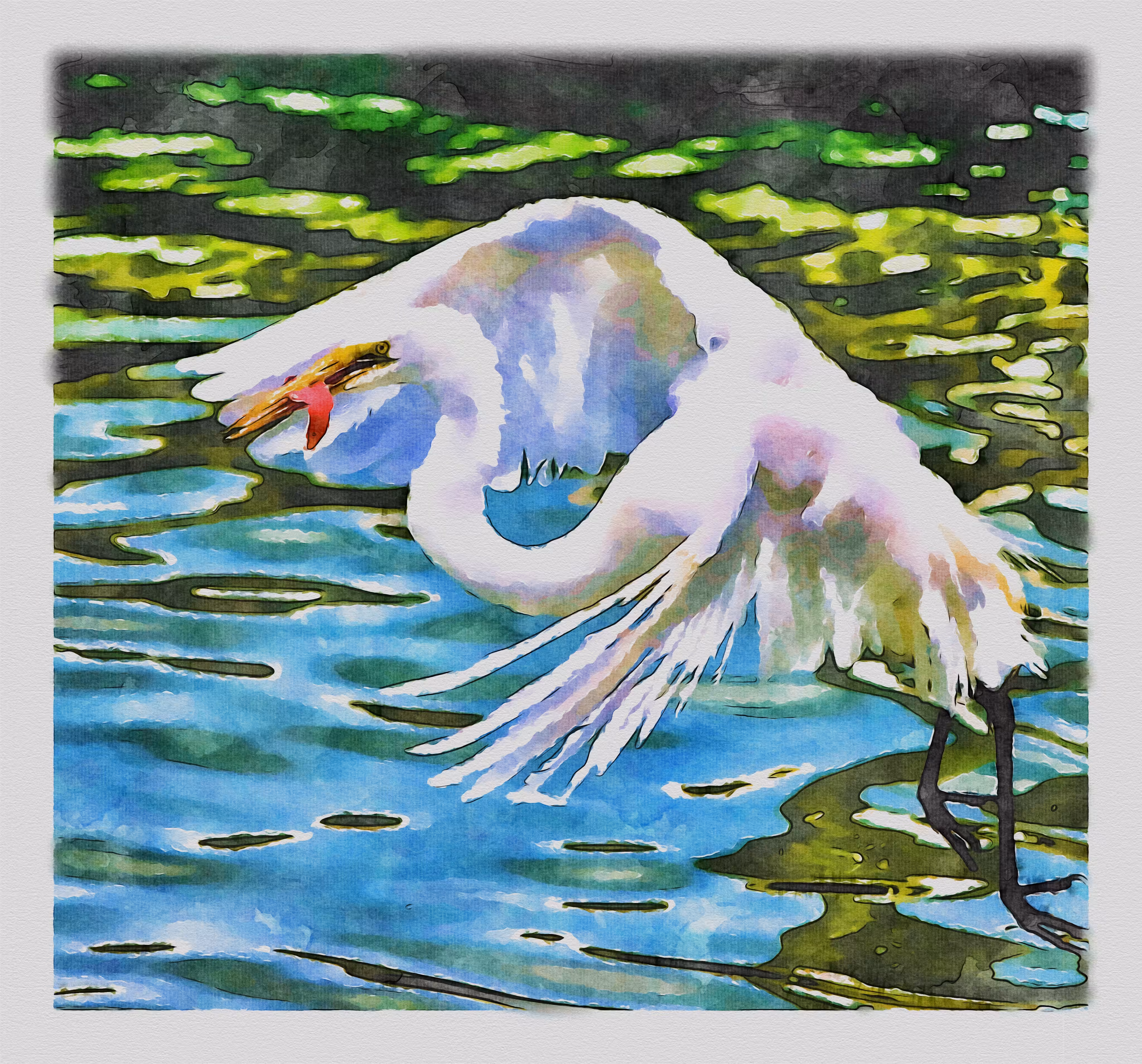 Watercolored: Watercolor Great Egret 4