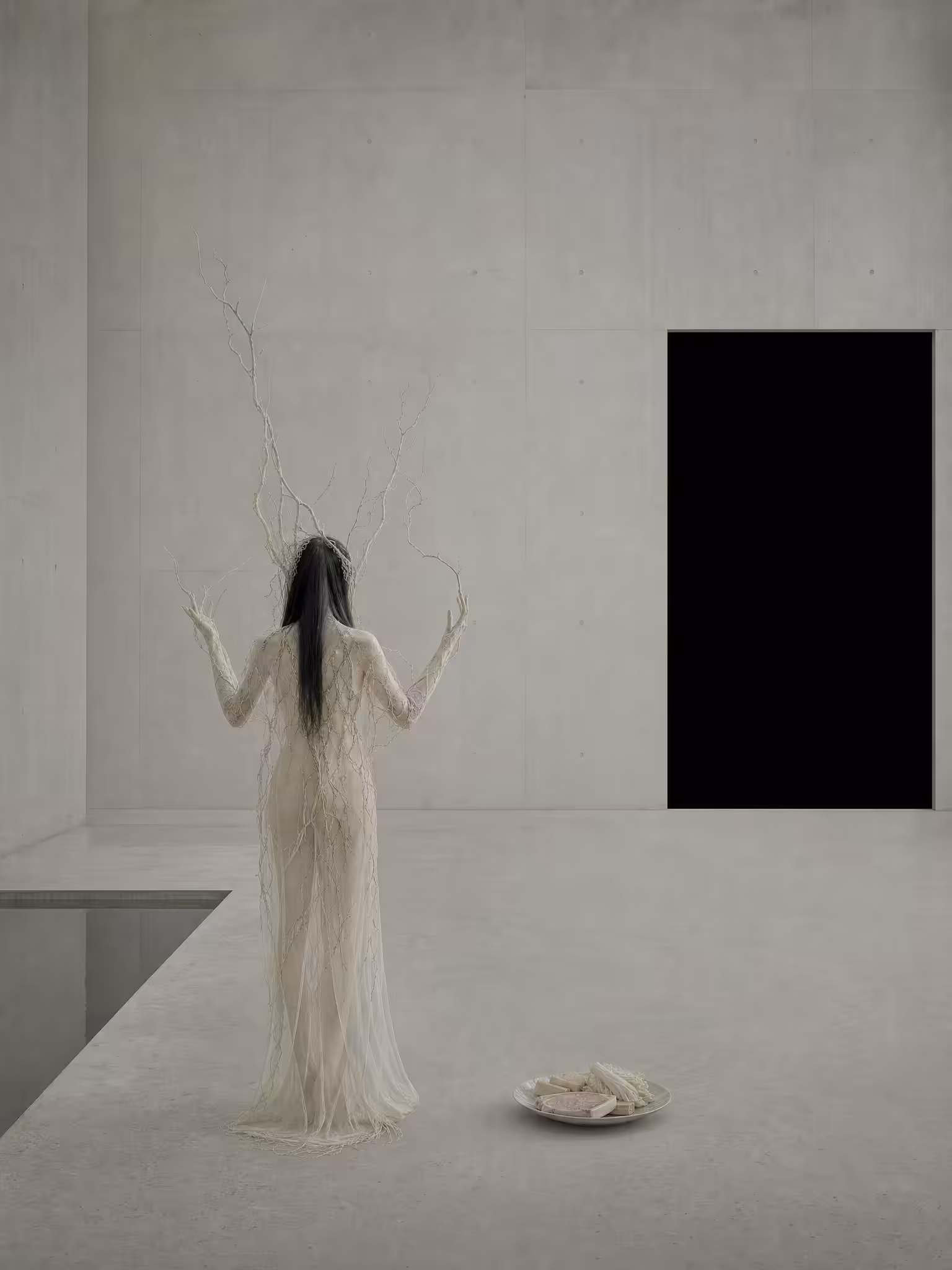 채식주의자의 아리아