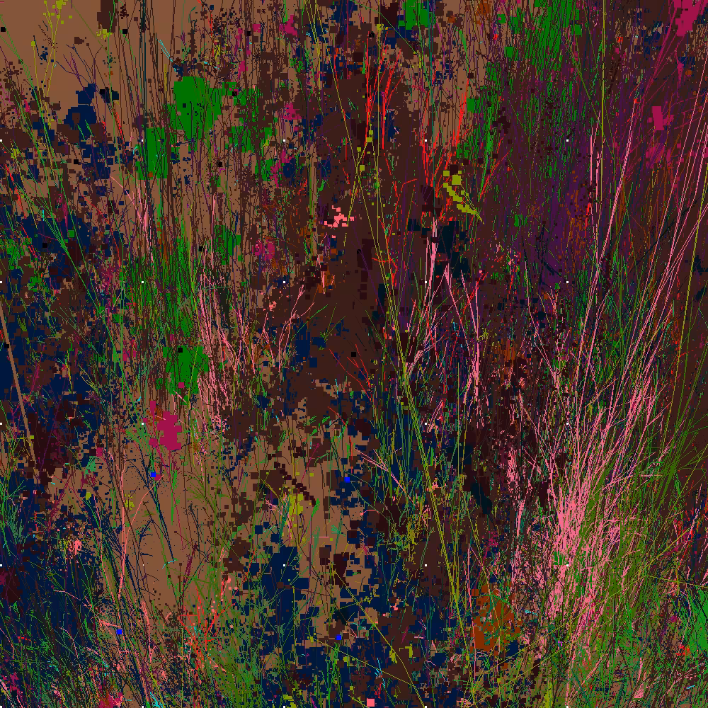 Infinite Garden: 107647 Flowers
