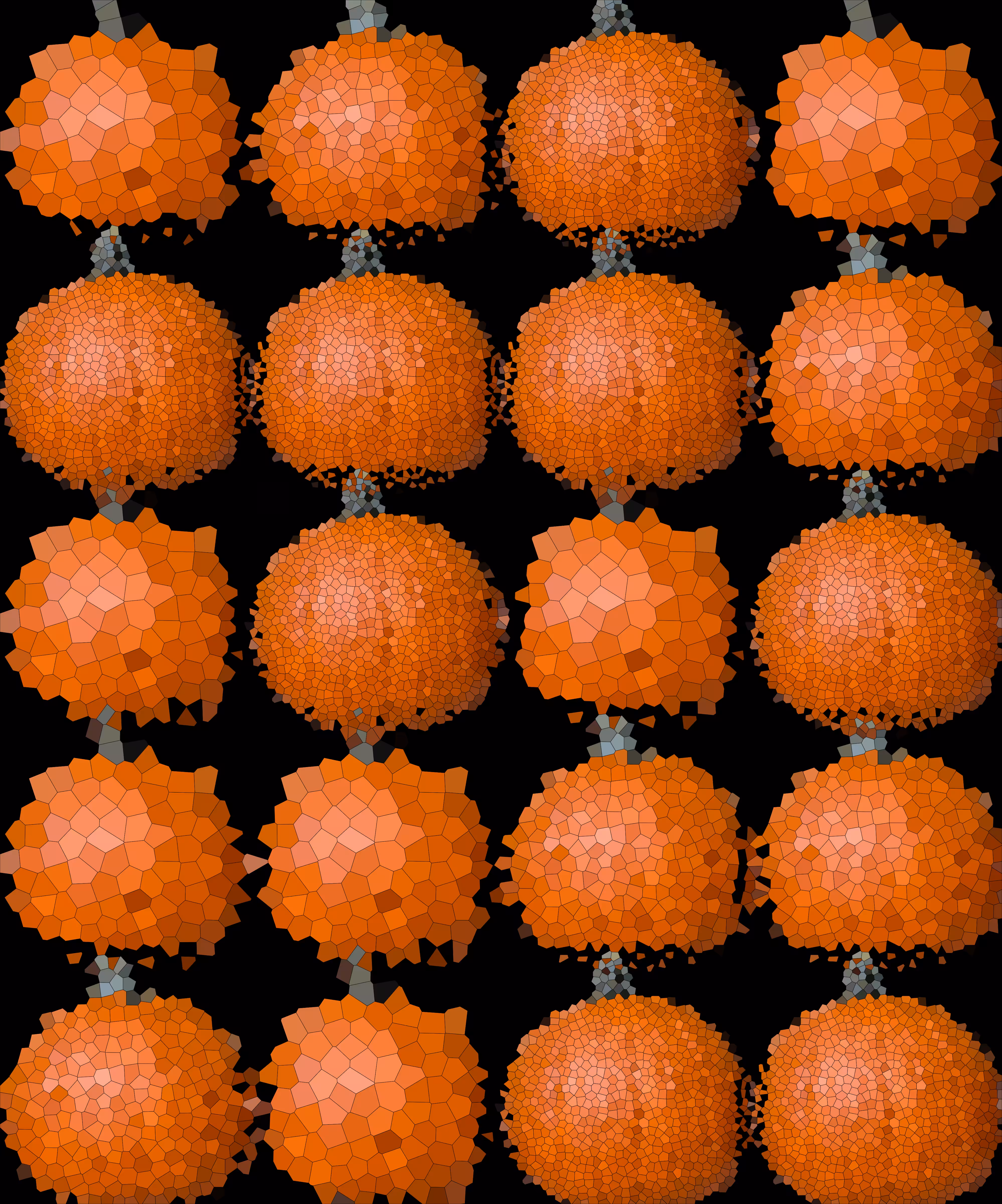 Field of pumpkin