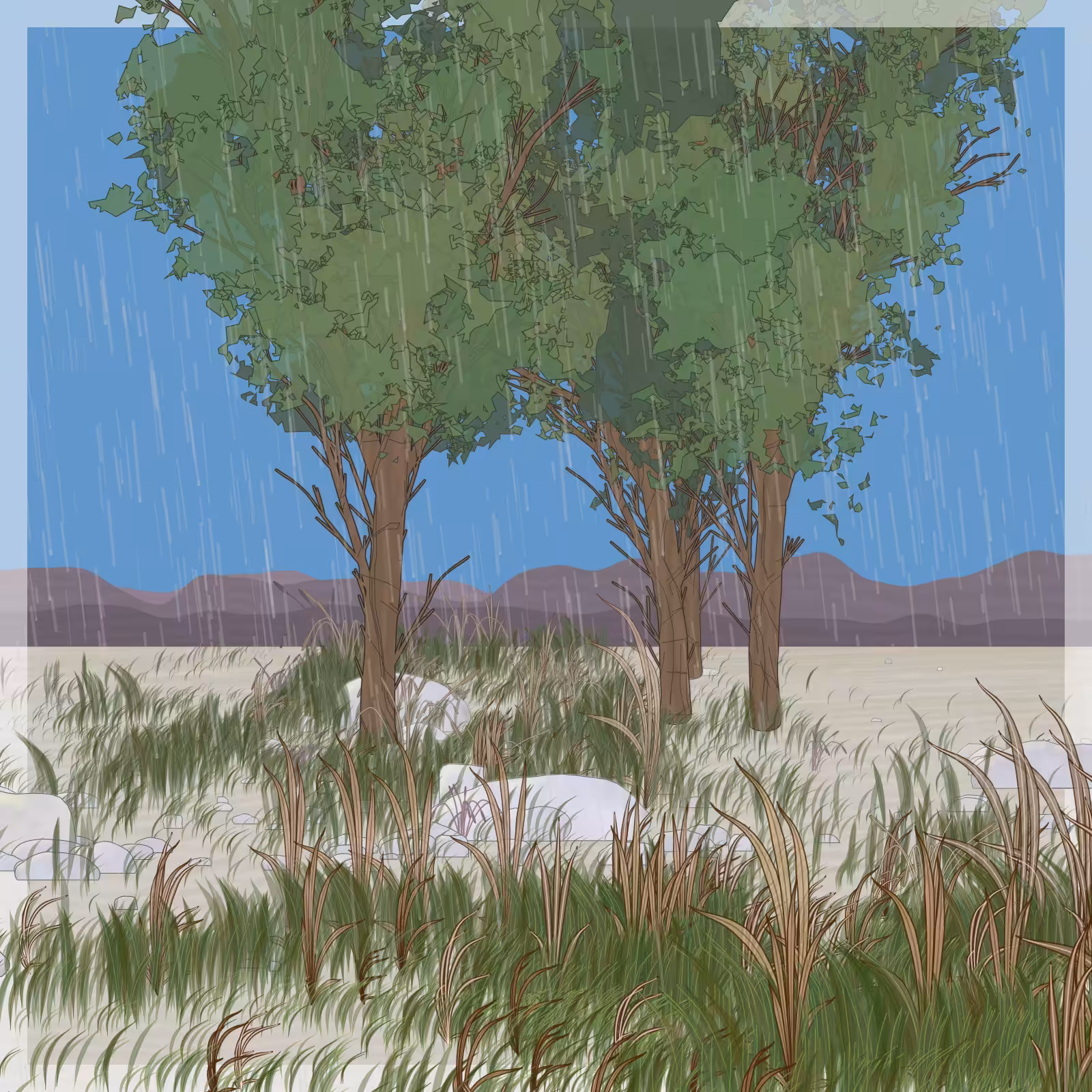 Rain Ritual #170