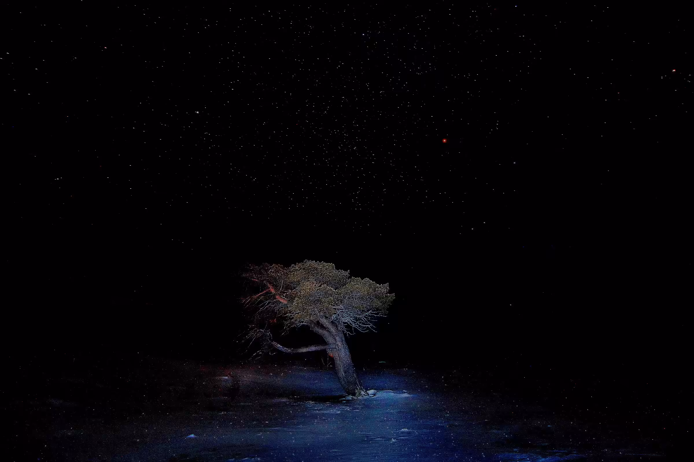 ArCtIc NiGhT