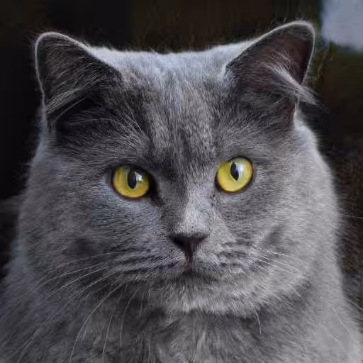 Sophie