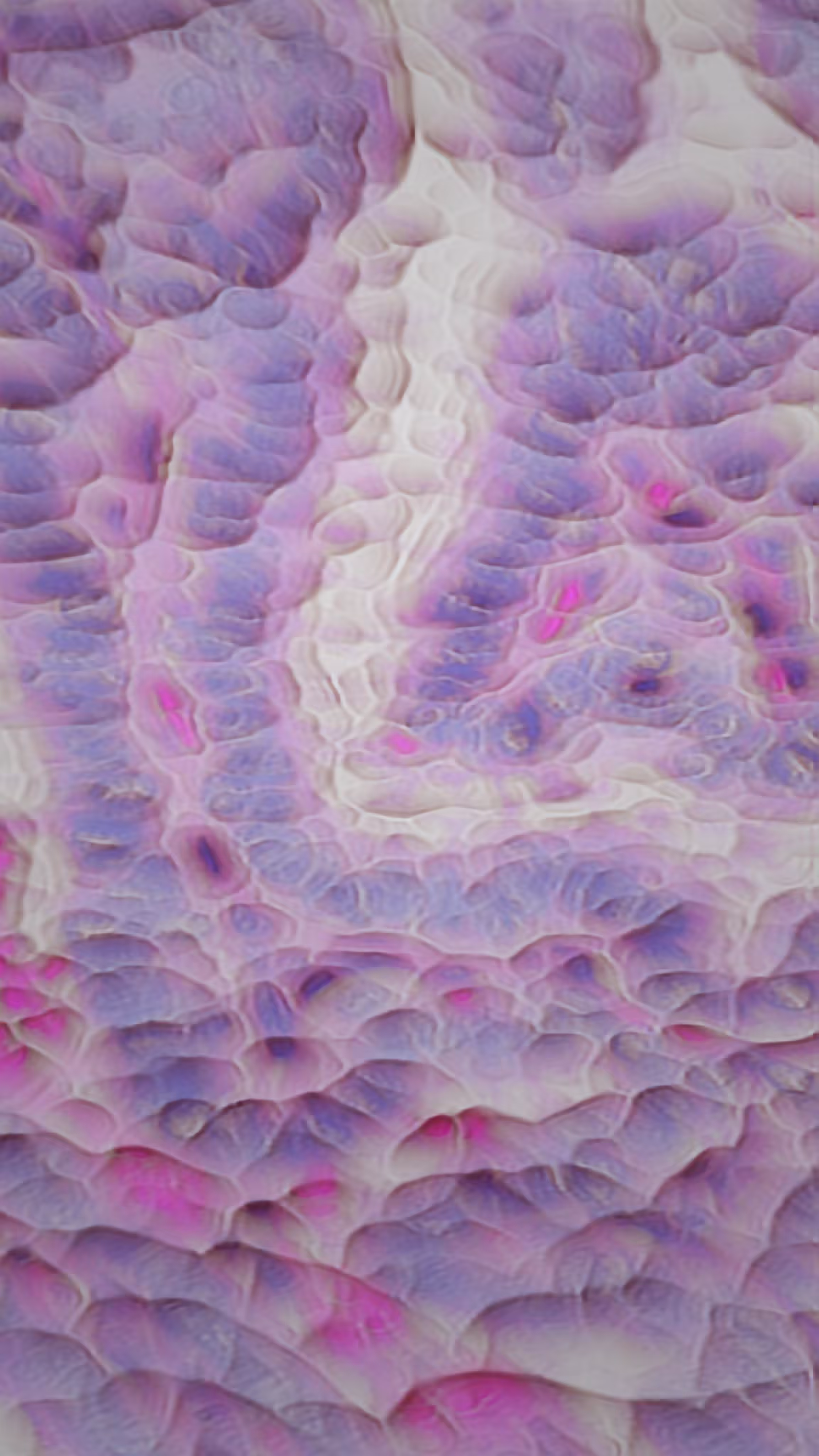 CELL 6
