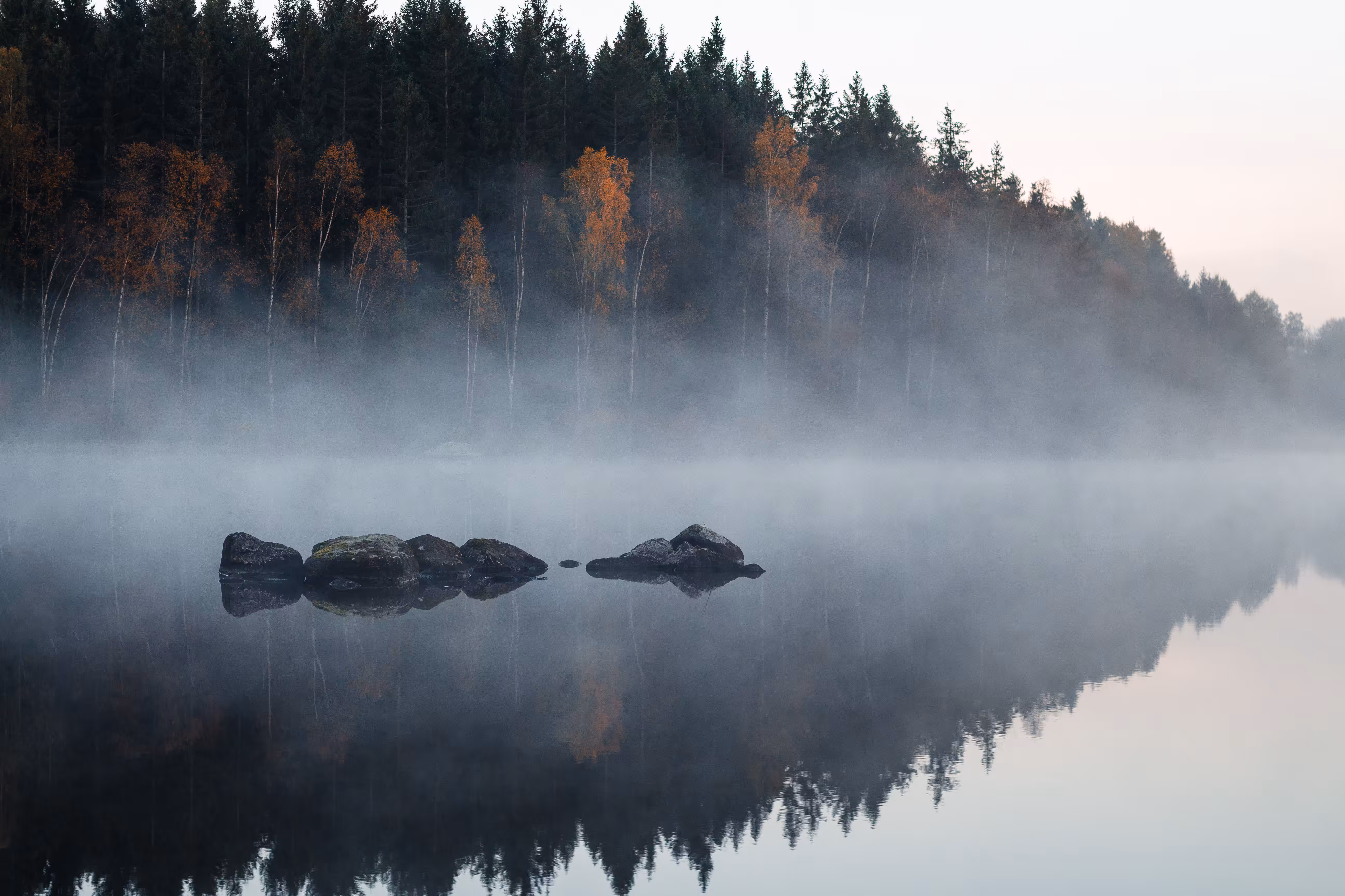#1 The misty morning