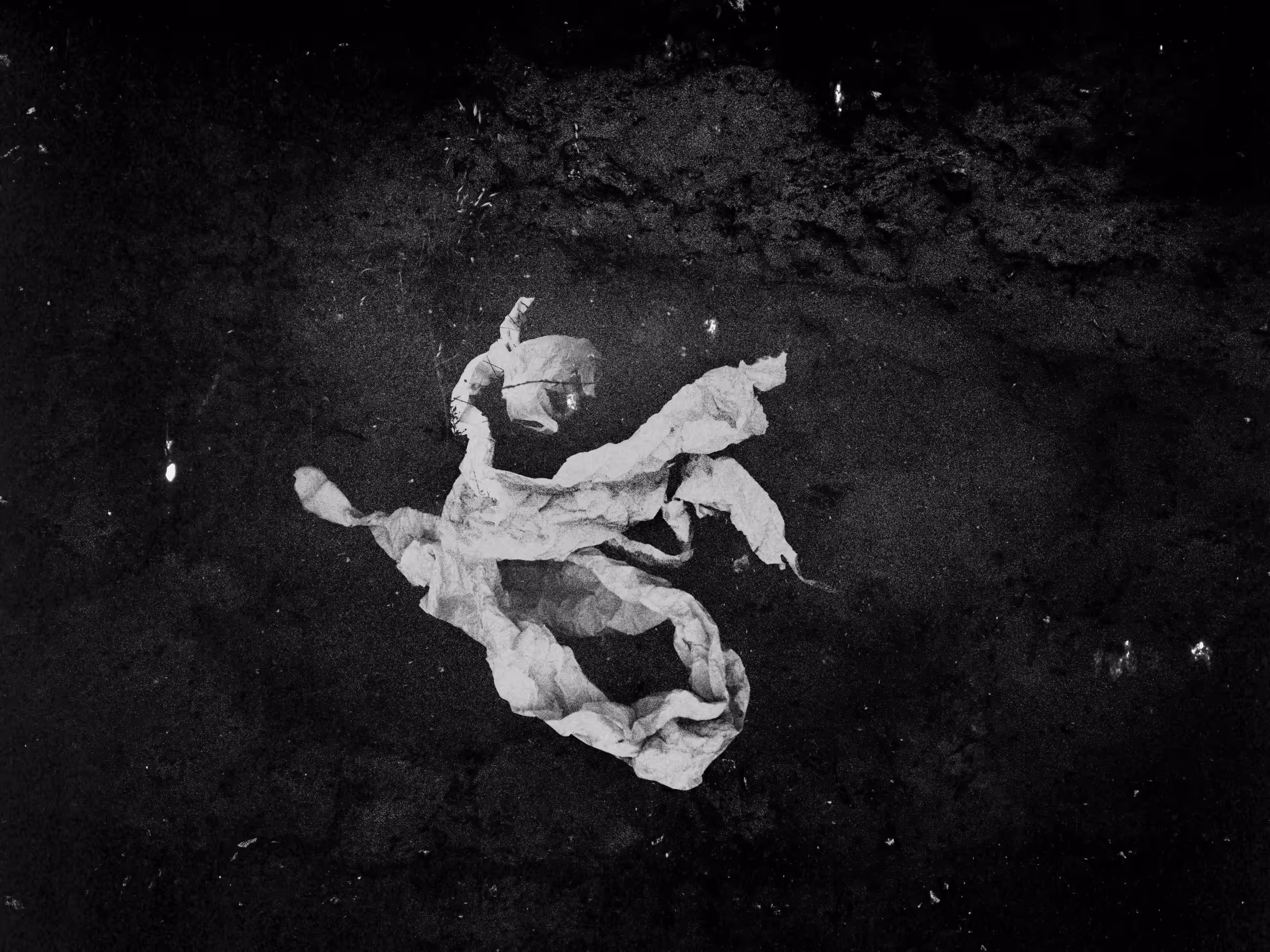 Diary Of Pain: At the Gates of Night