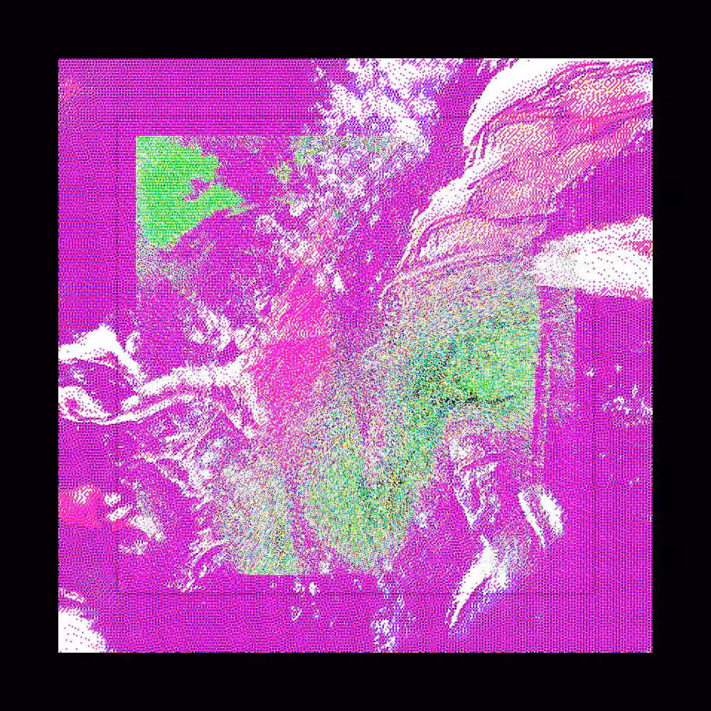 CHX-1 #82