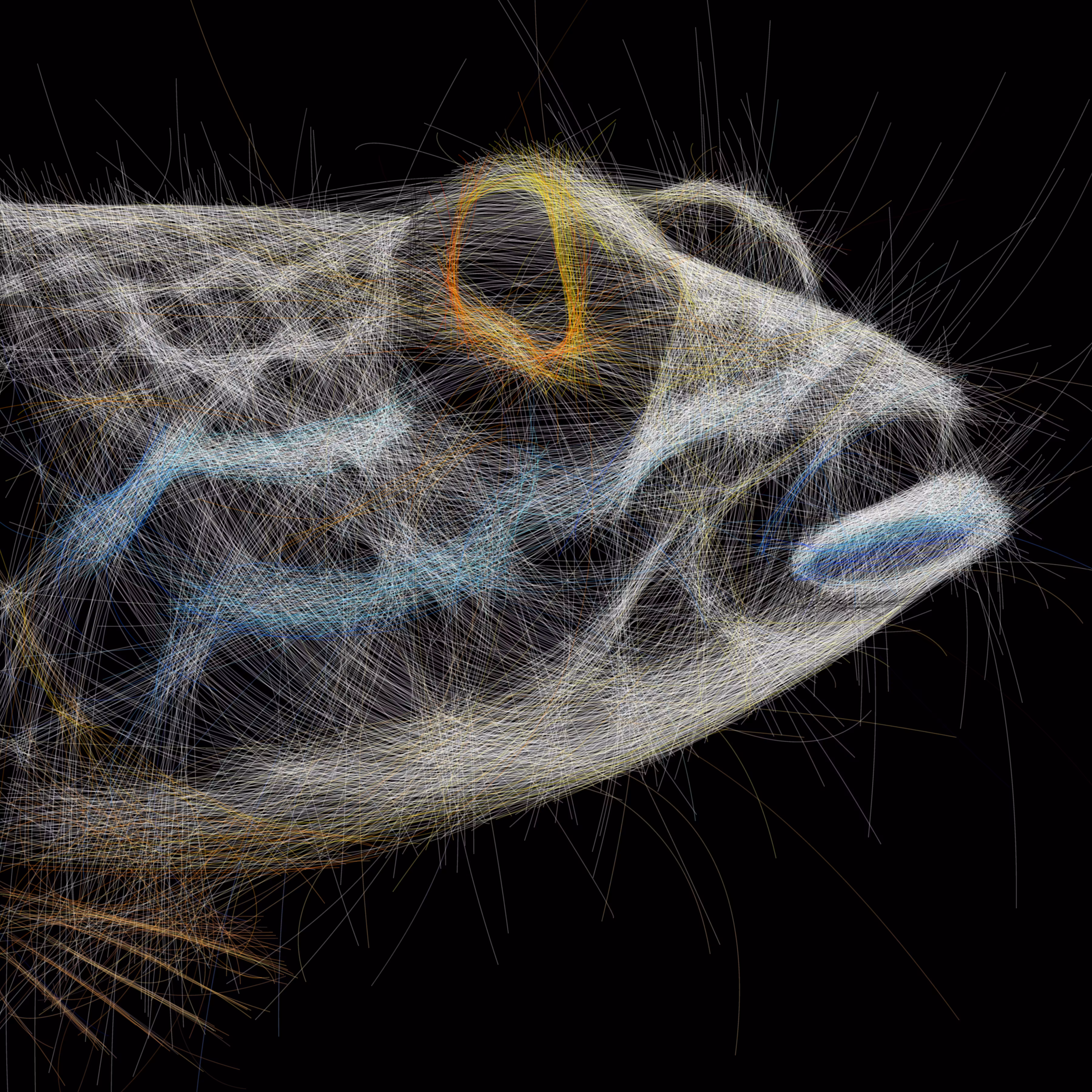 UNDERWATER: Underwater 185