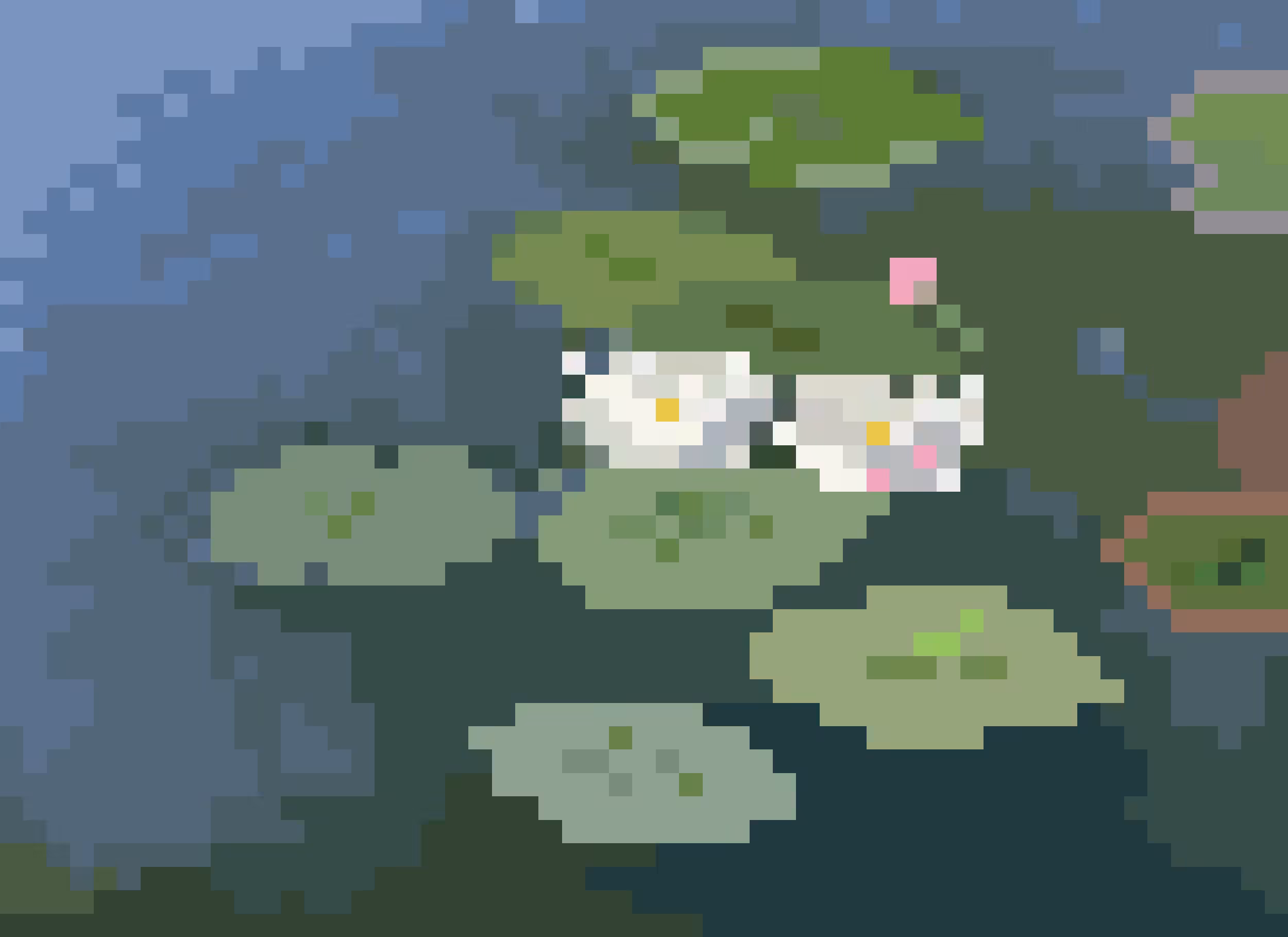 Water Lilies, Evening Effect