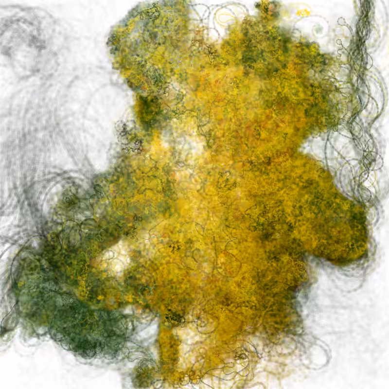 Hypericum #18