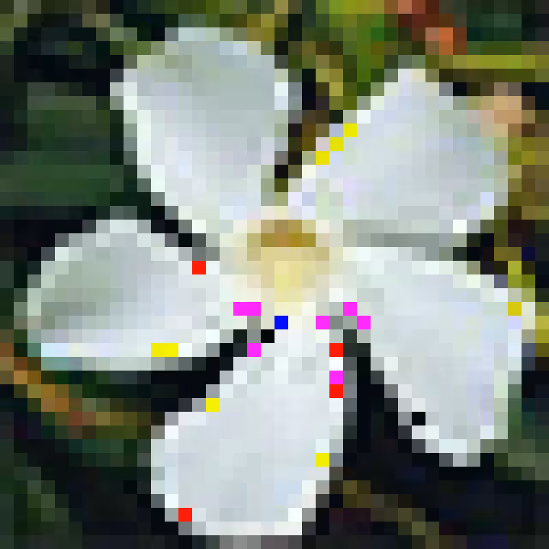 1000xFlowers - #04