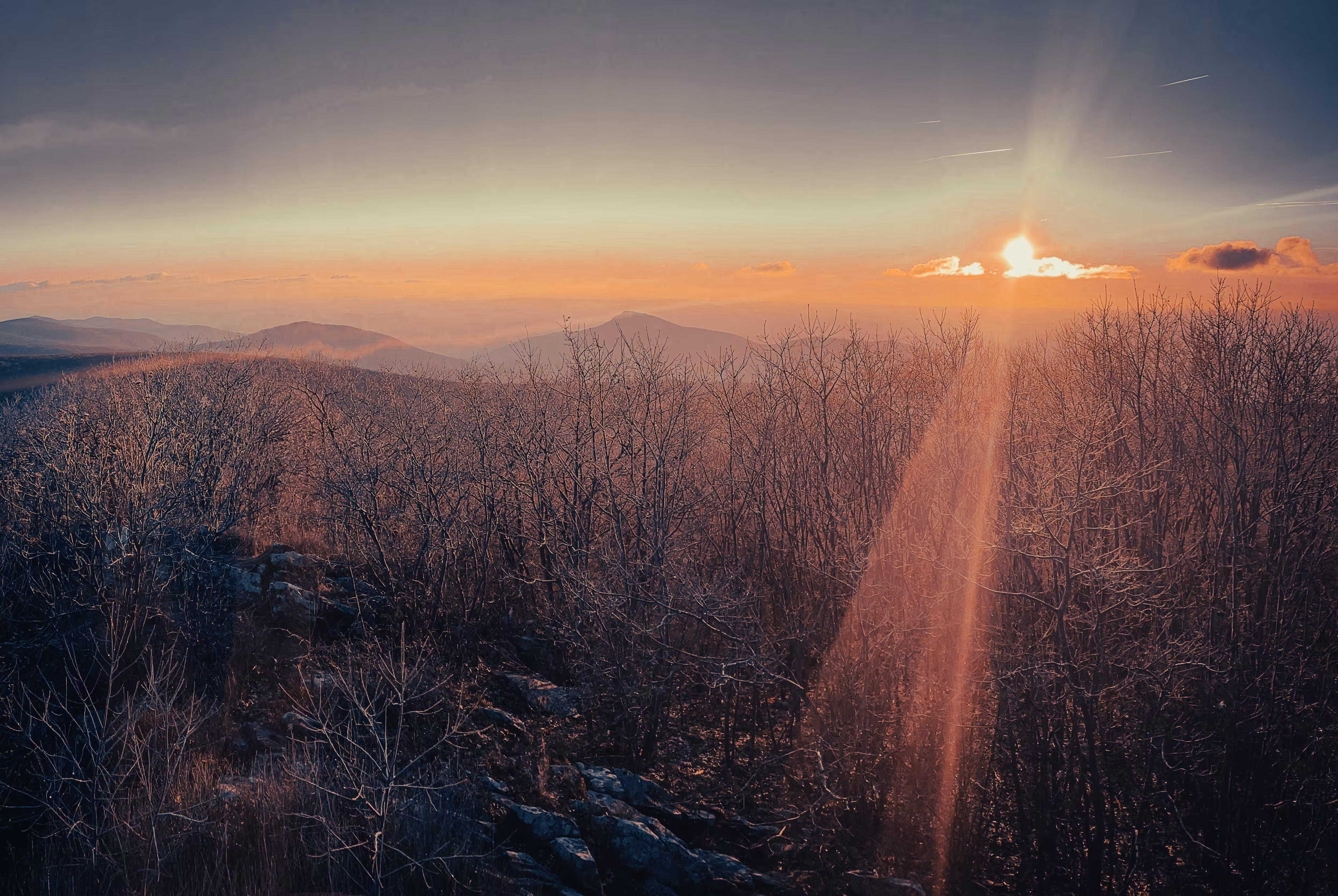 ~Frosted Sunrise~