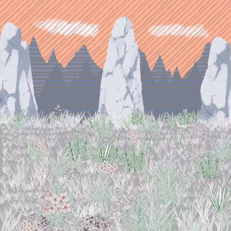 Mountain Meadows #65