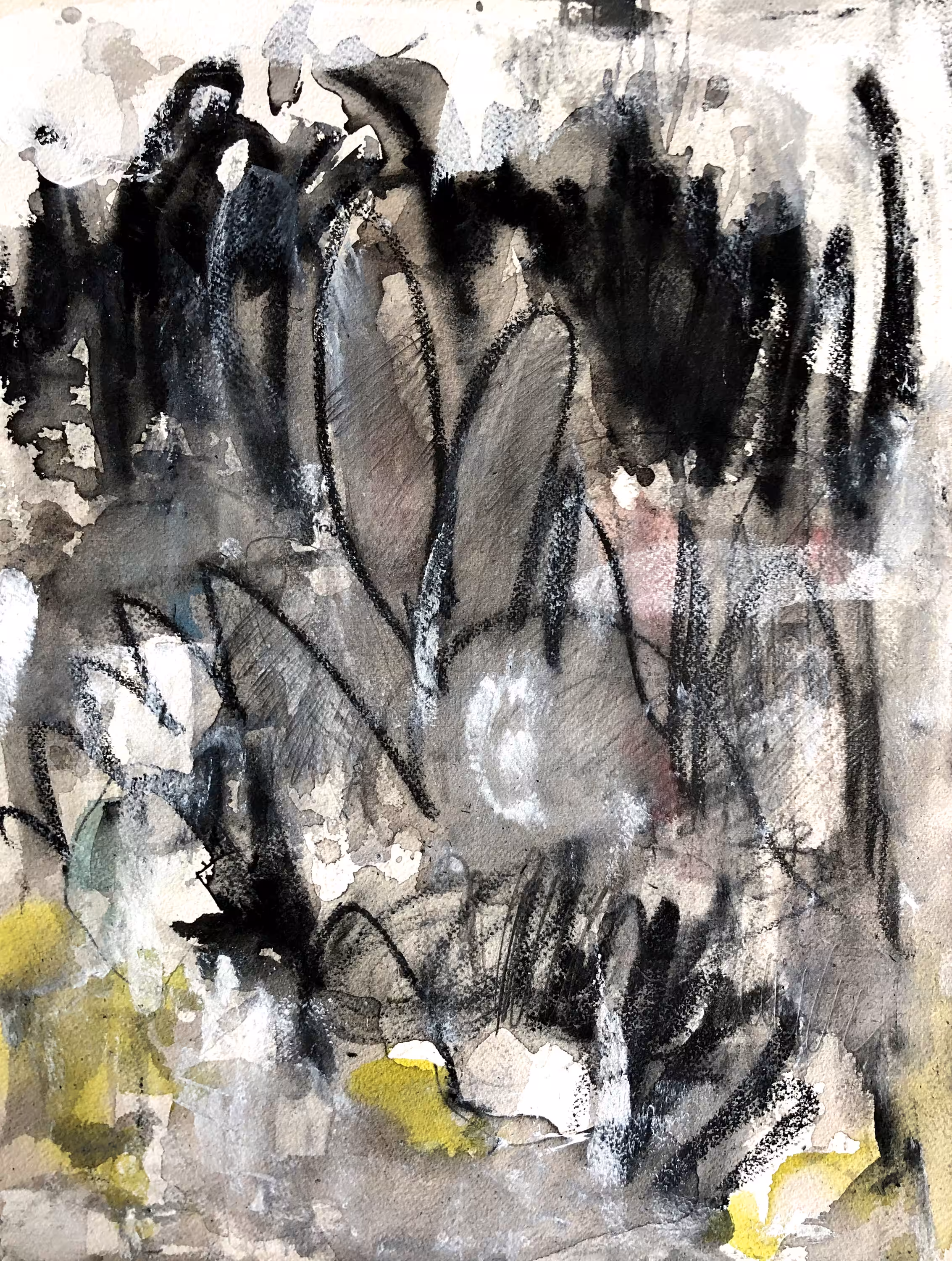 Bad Bunny #1