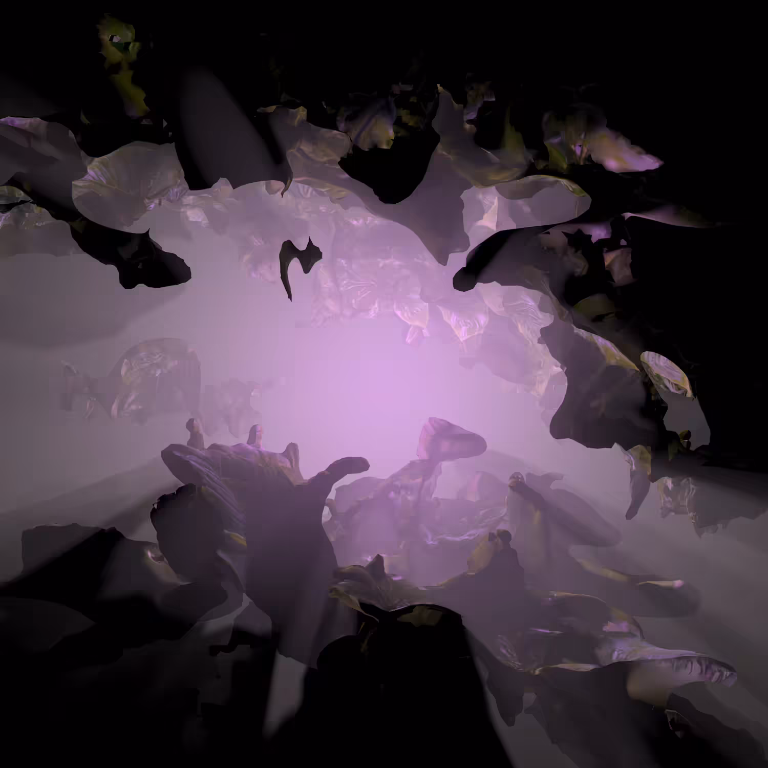 BLOOMCORE #16