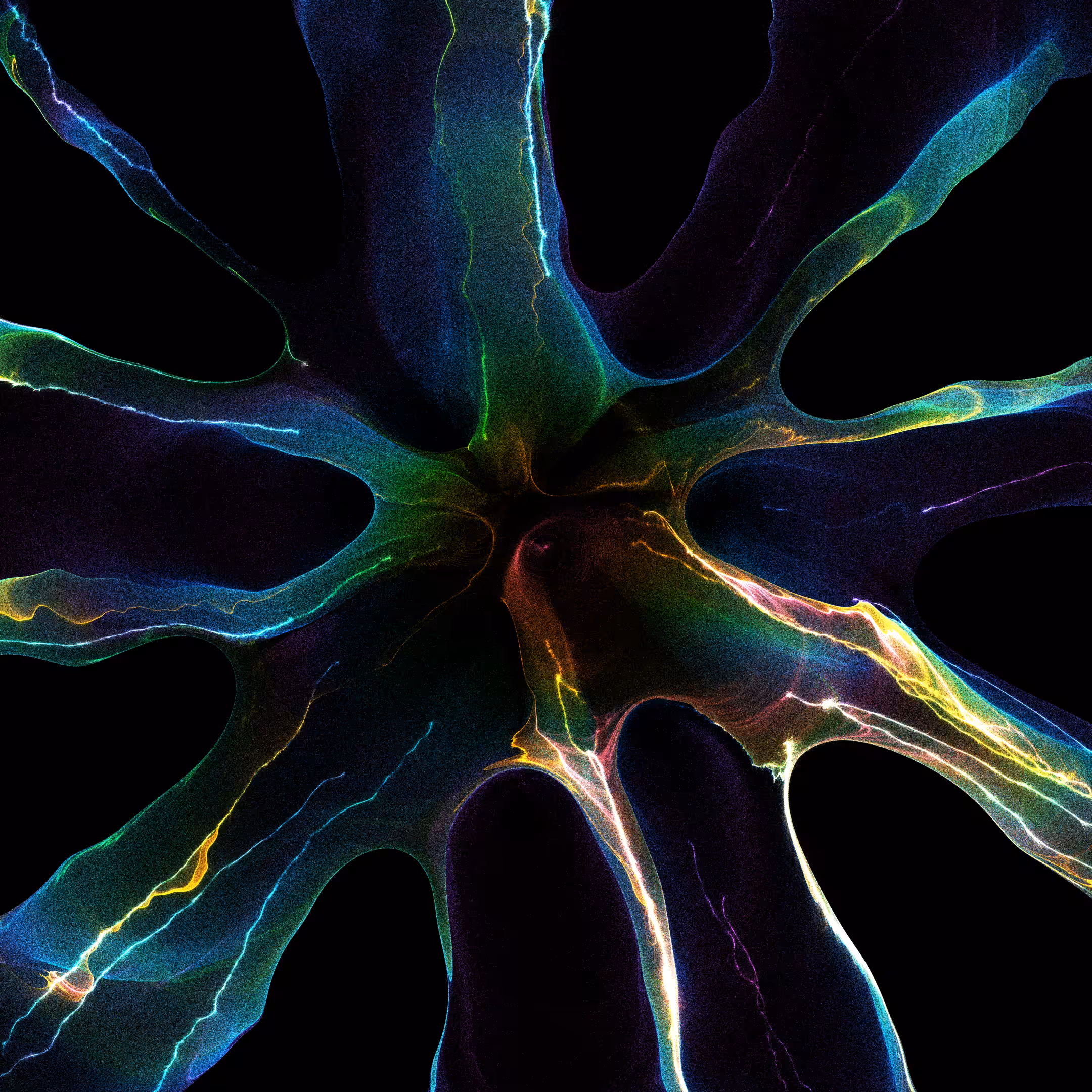 Wavelength persistence #38