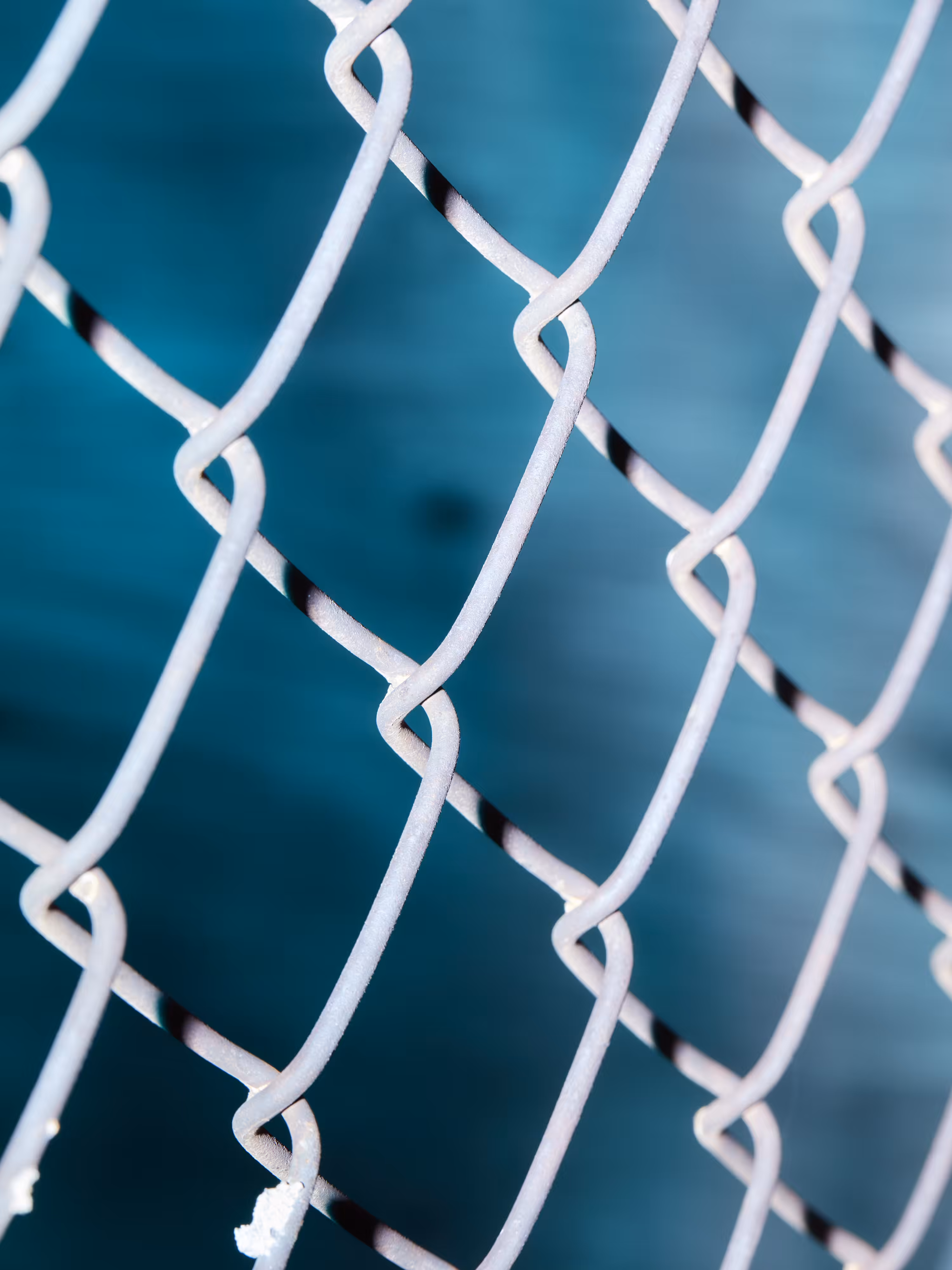 CHAINLINK № 17