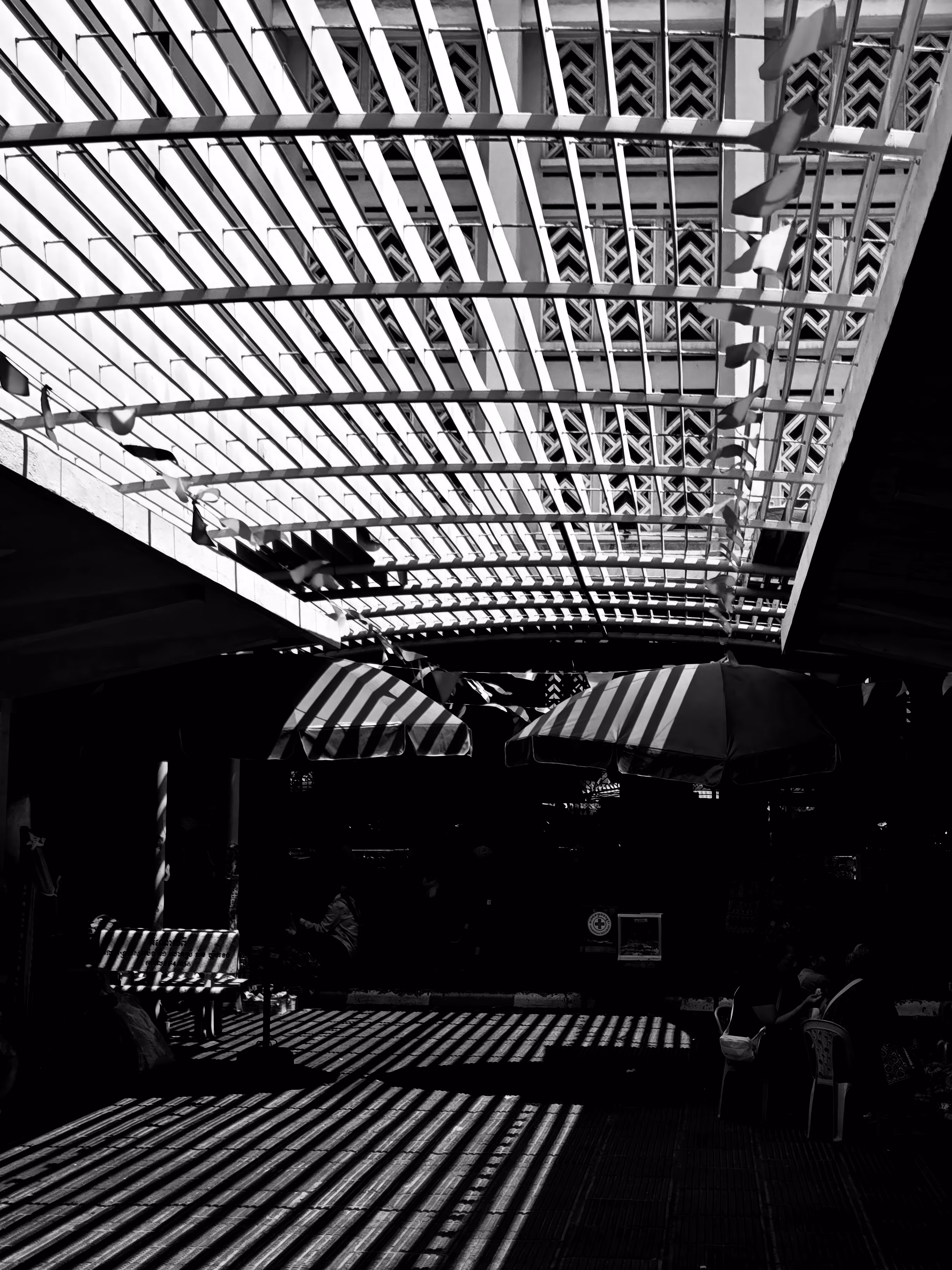 Where Shadows Listen