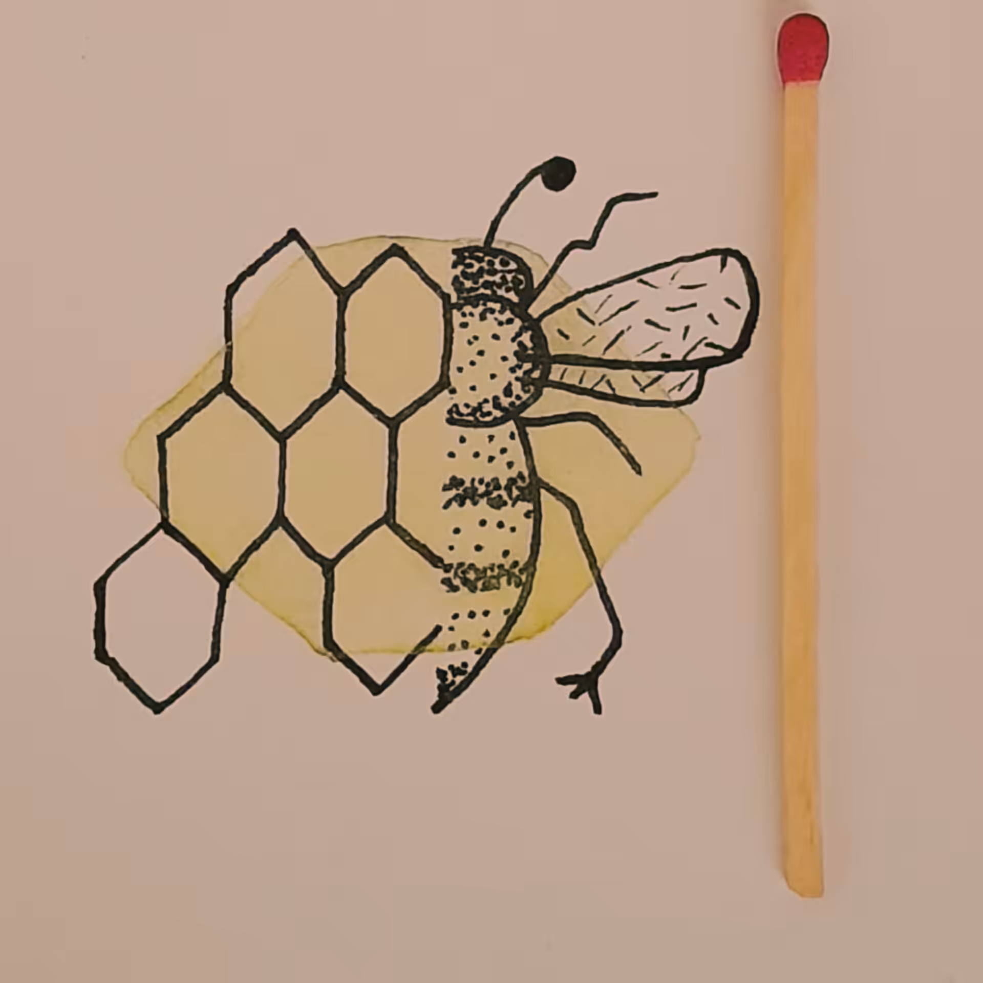 Honey bee 2