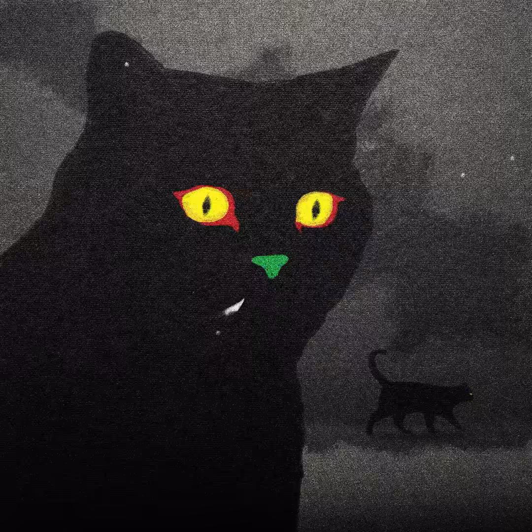 Midnight Cats