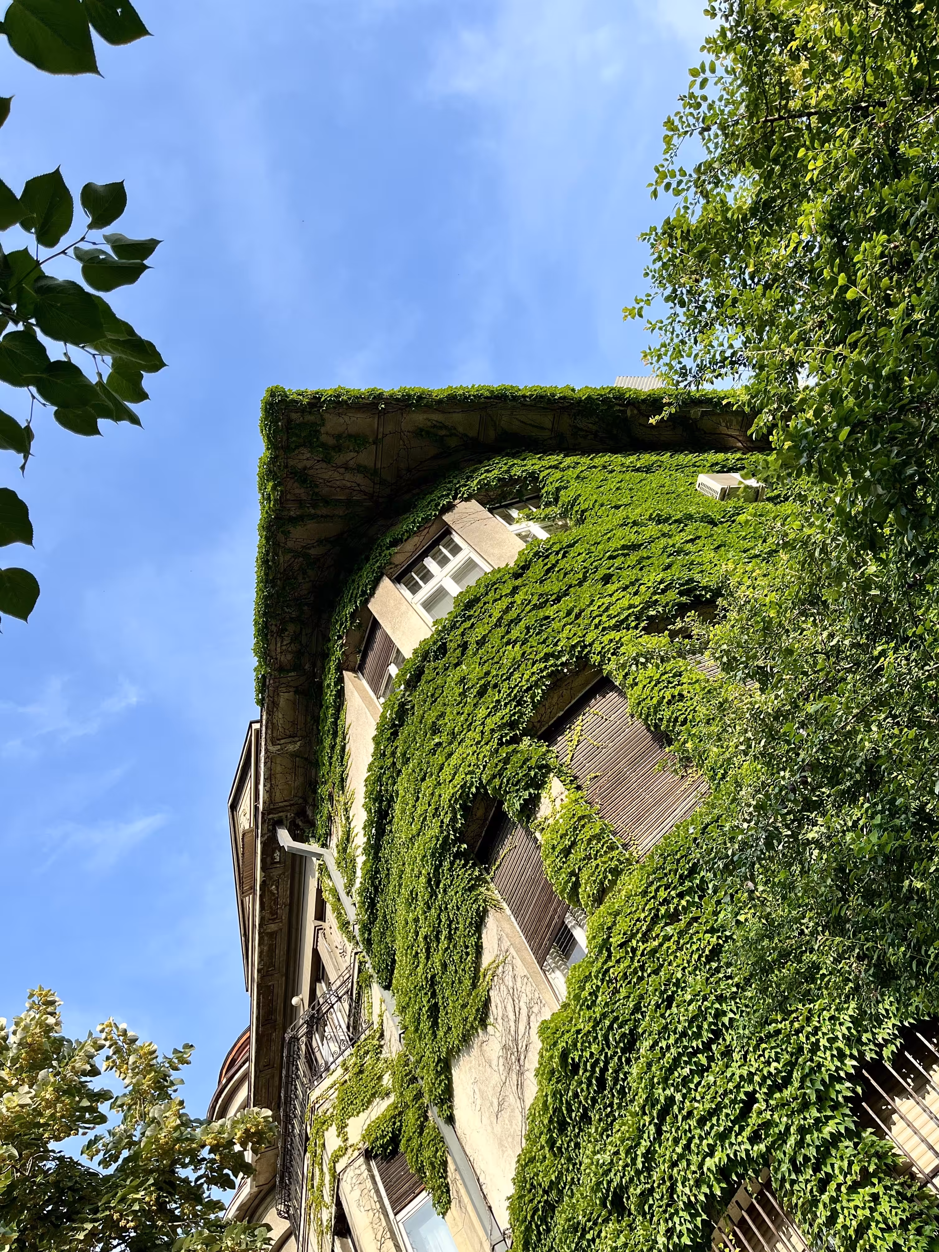 Roof 12