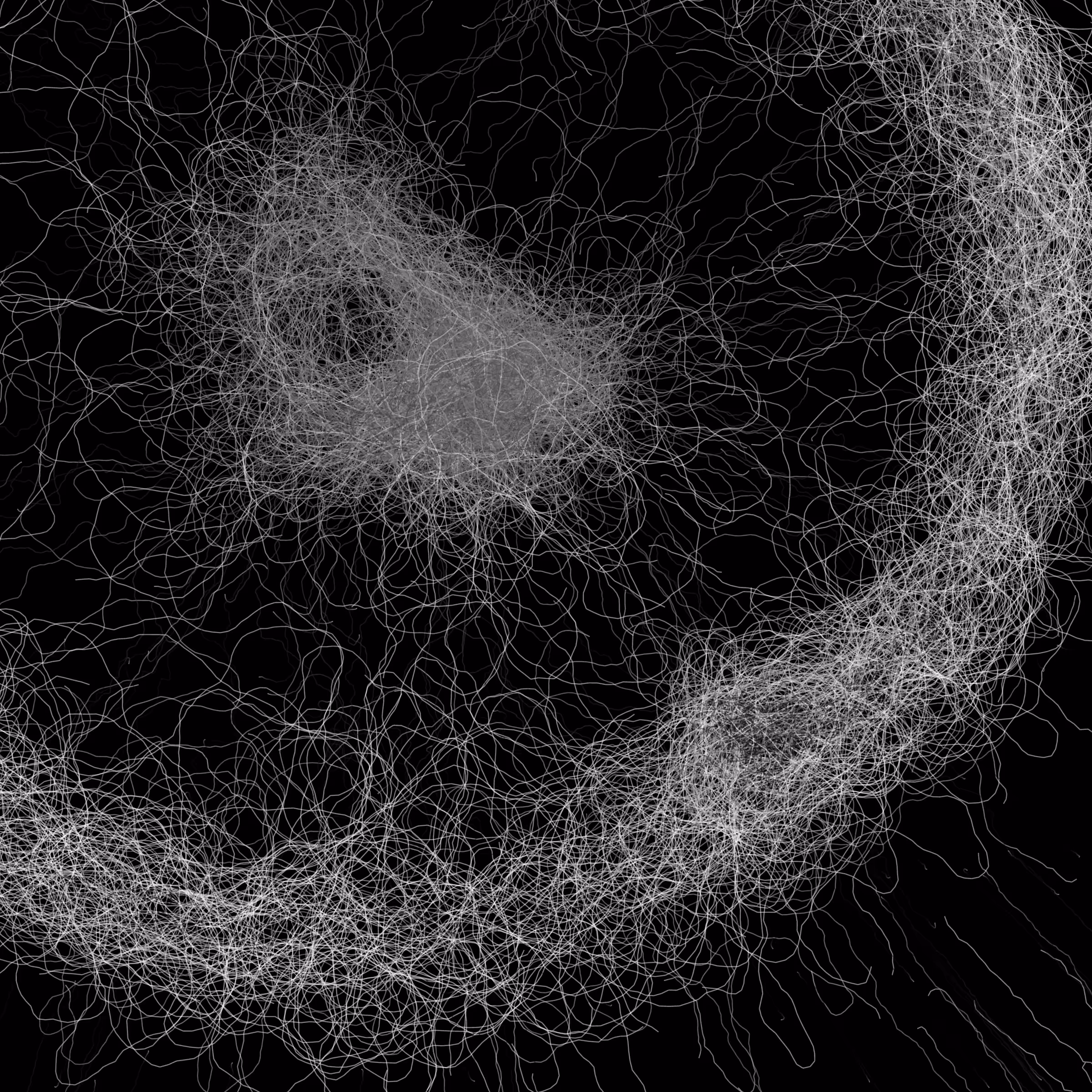 Phototaxis #175