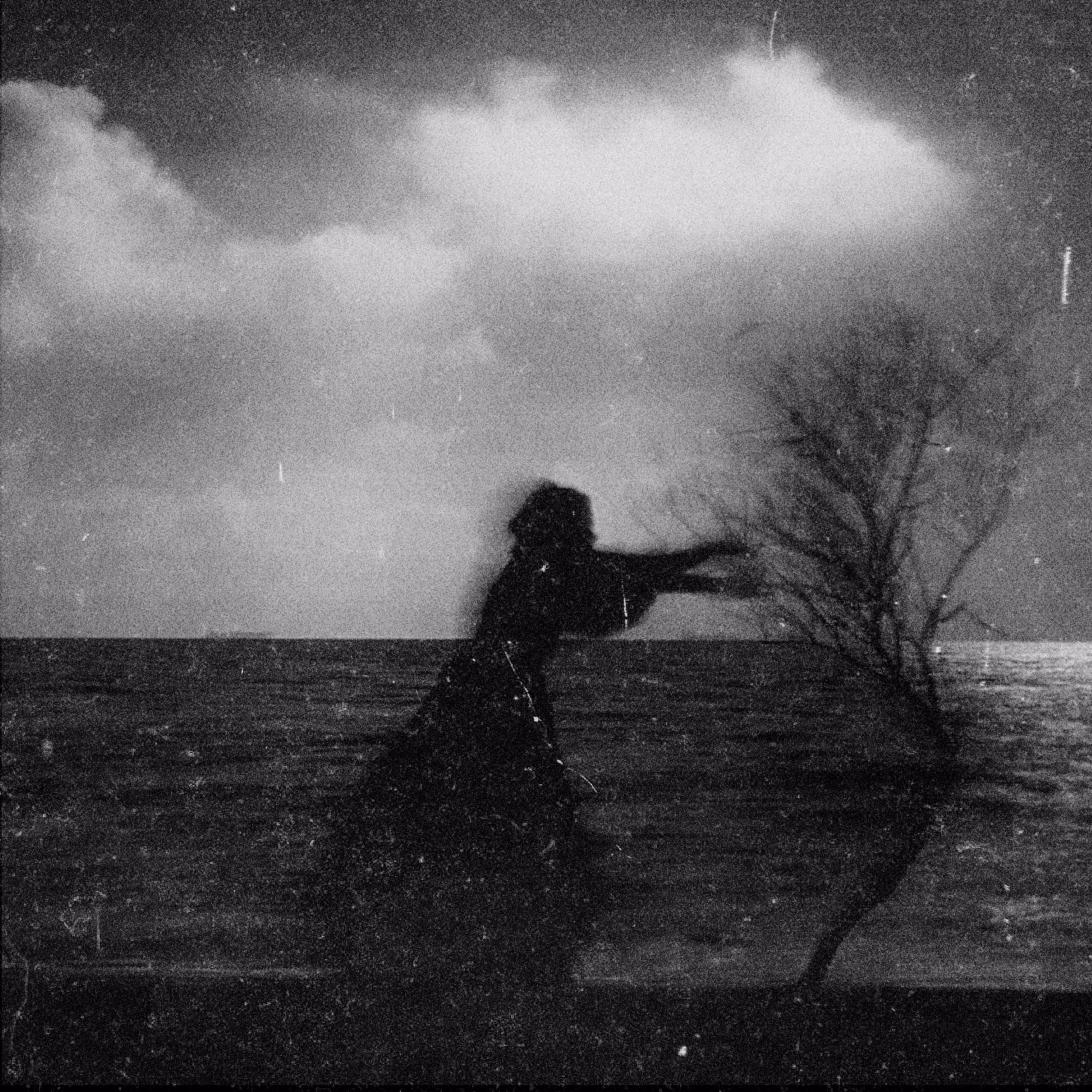 autoportraits: to the light