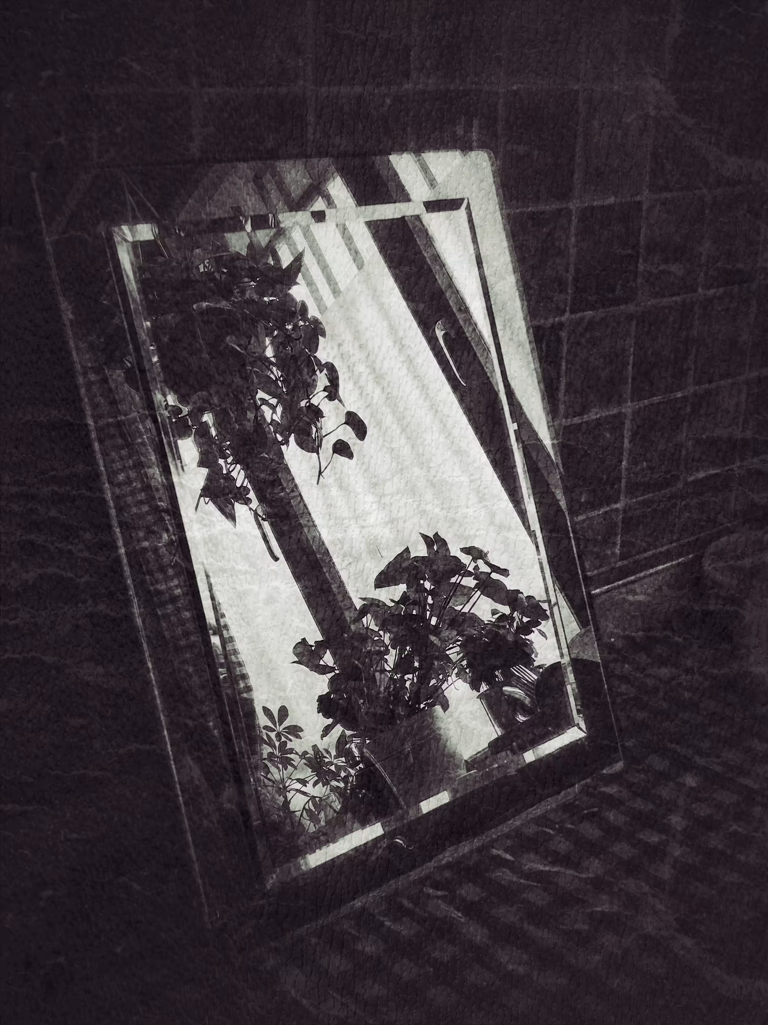 Reflections 