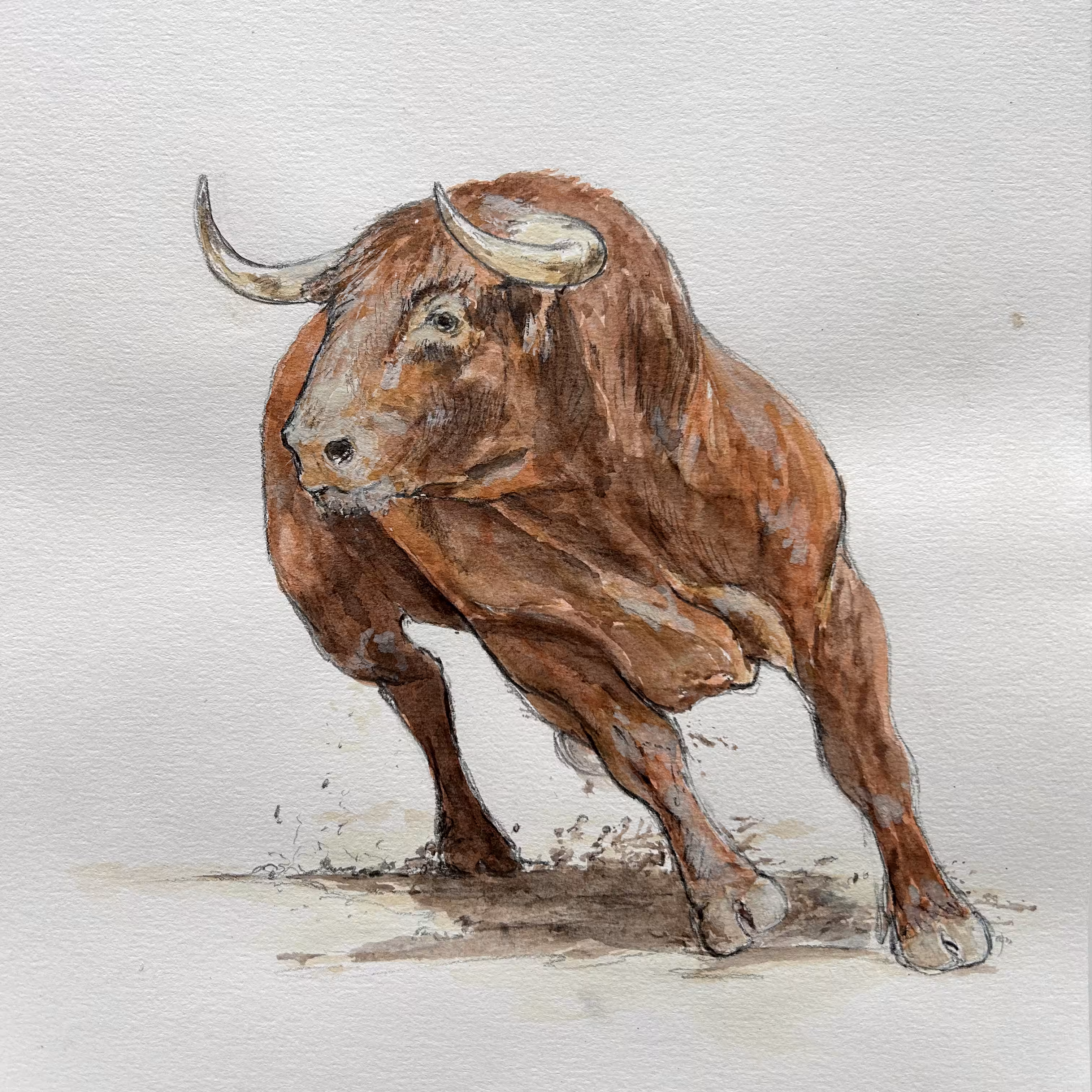 WEB3 Animal Kingdom: The Bull Market
